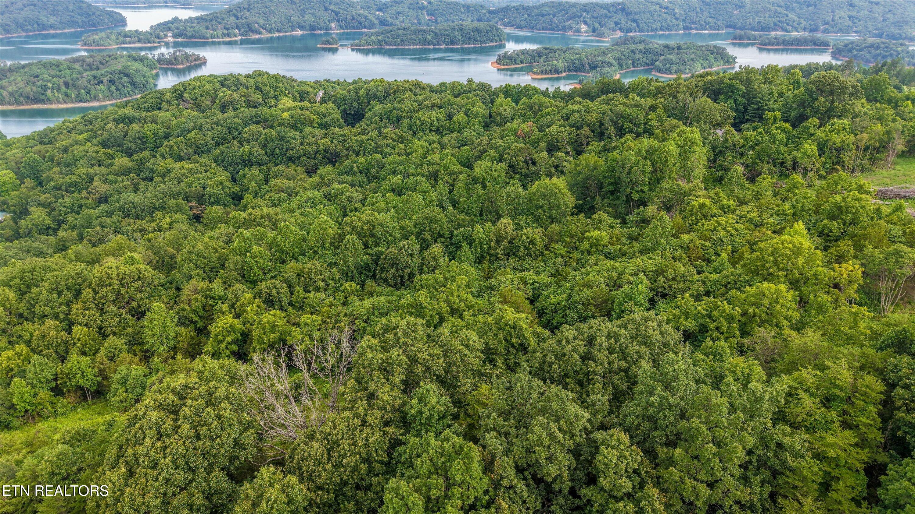 Lot 2 Graves Hollow Road Maynardville TN 37807