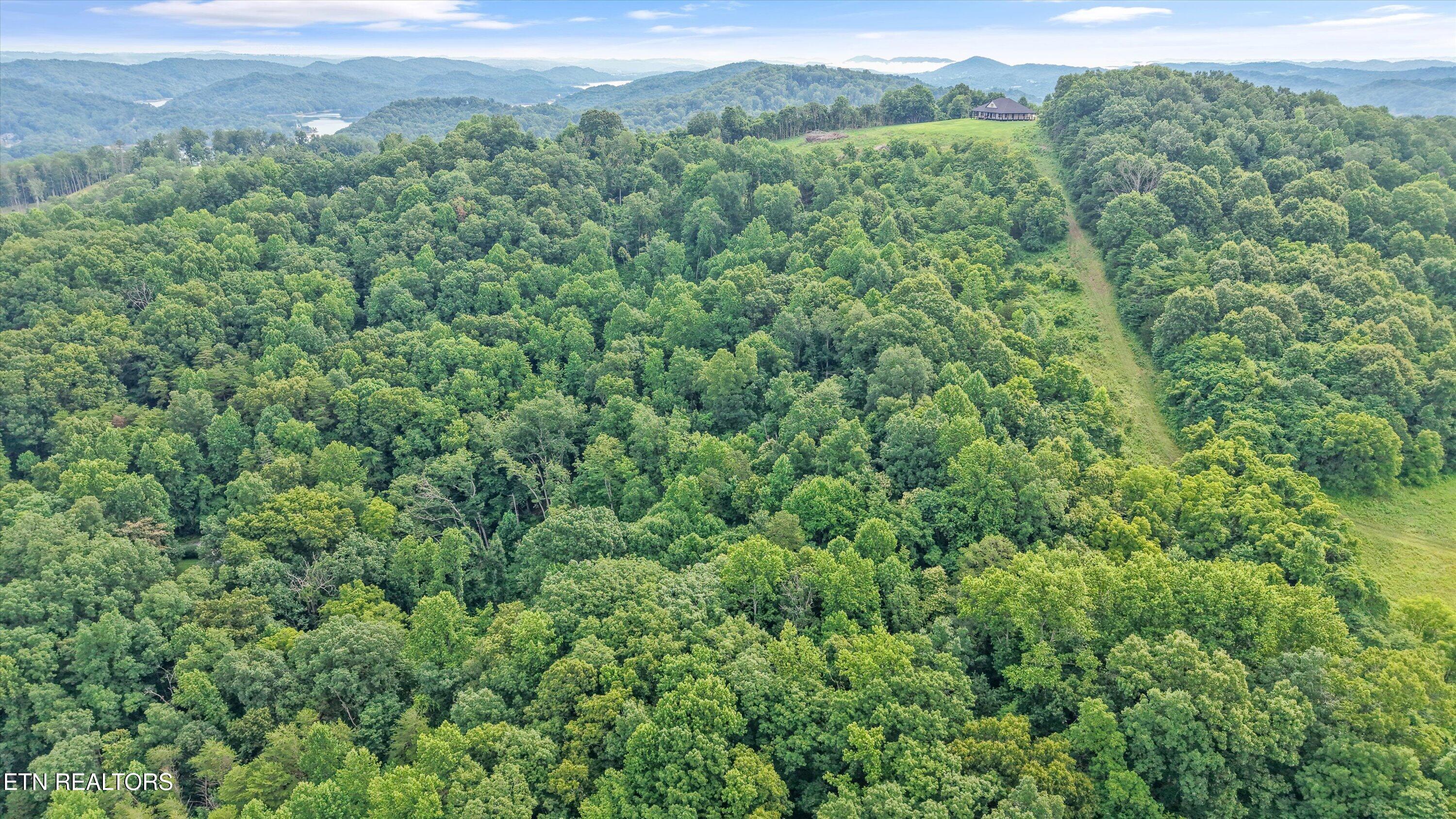 Lot 2 Graves Hollow Road Maynardville TN 37807