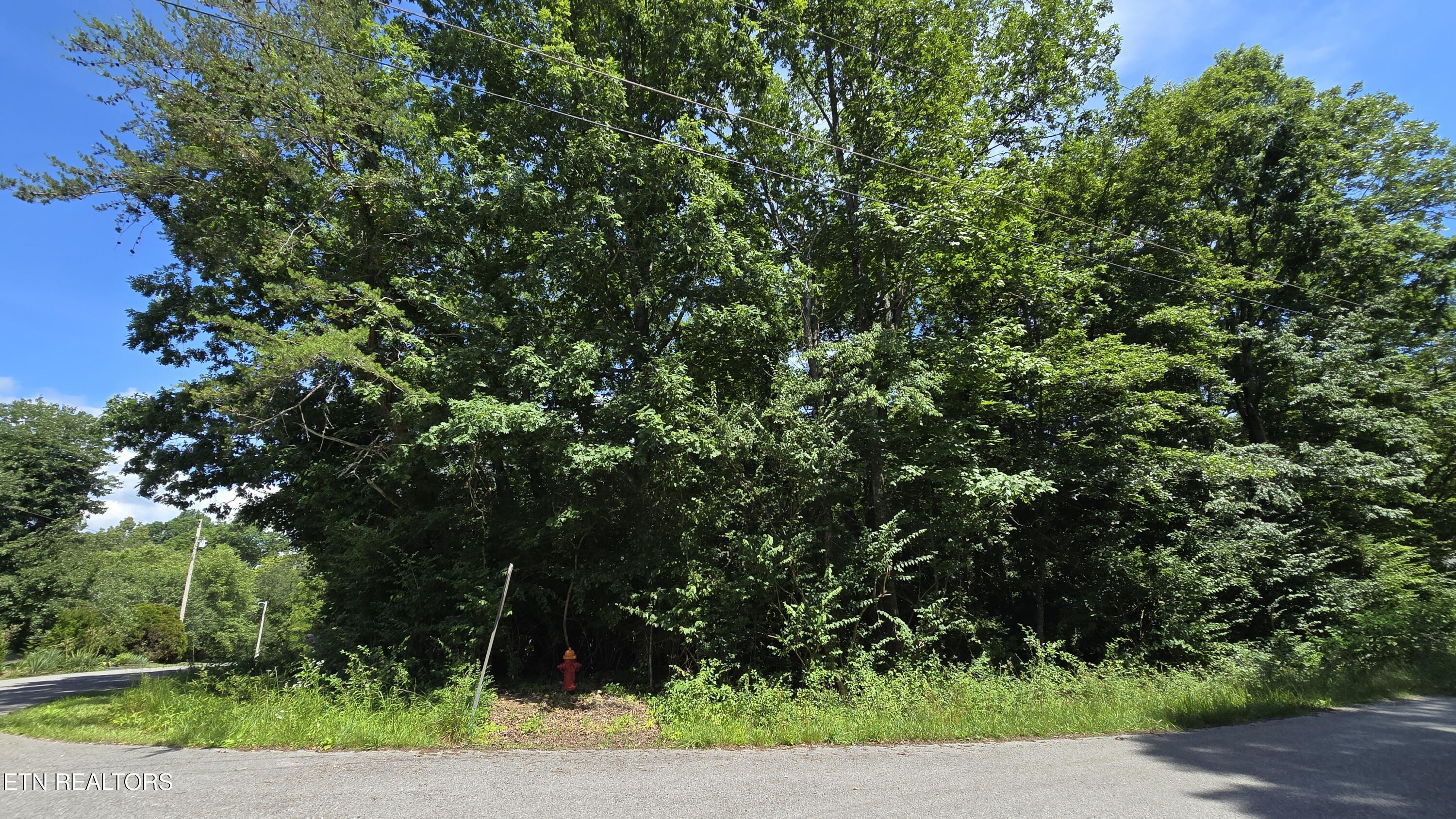 200 Rhododendron Circle Crossville TN 38555