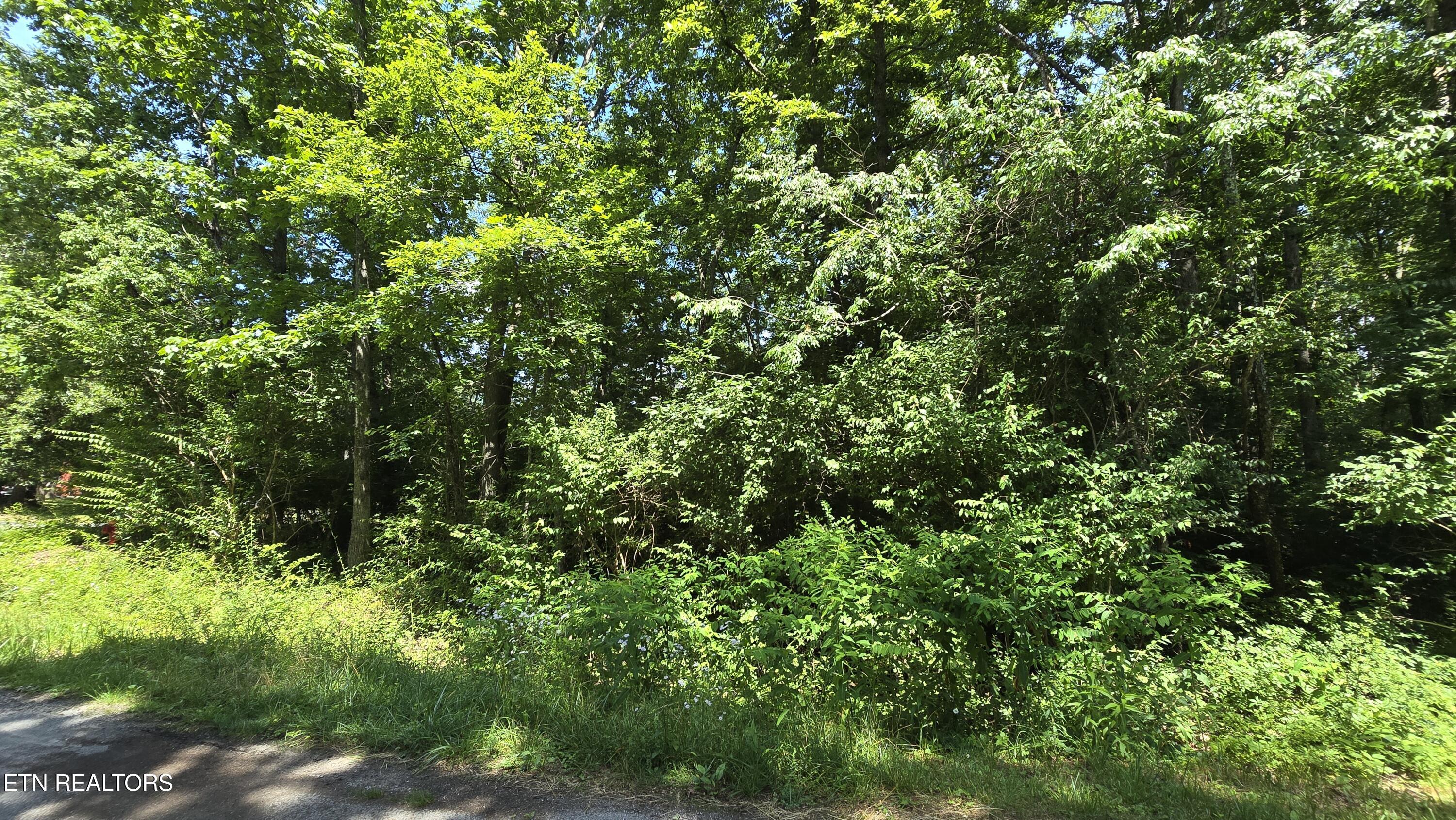 200 Rhododendron Circle Crossville TN 38555