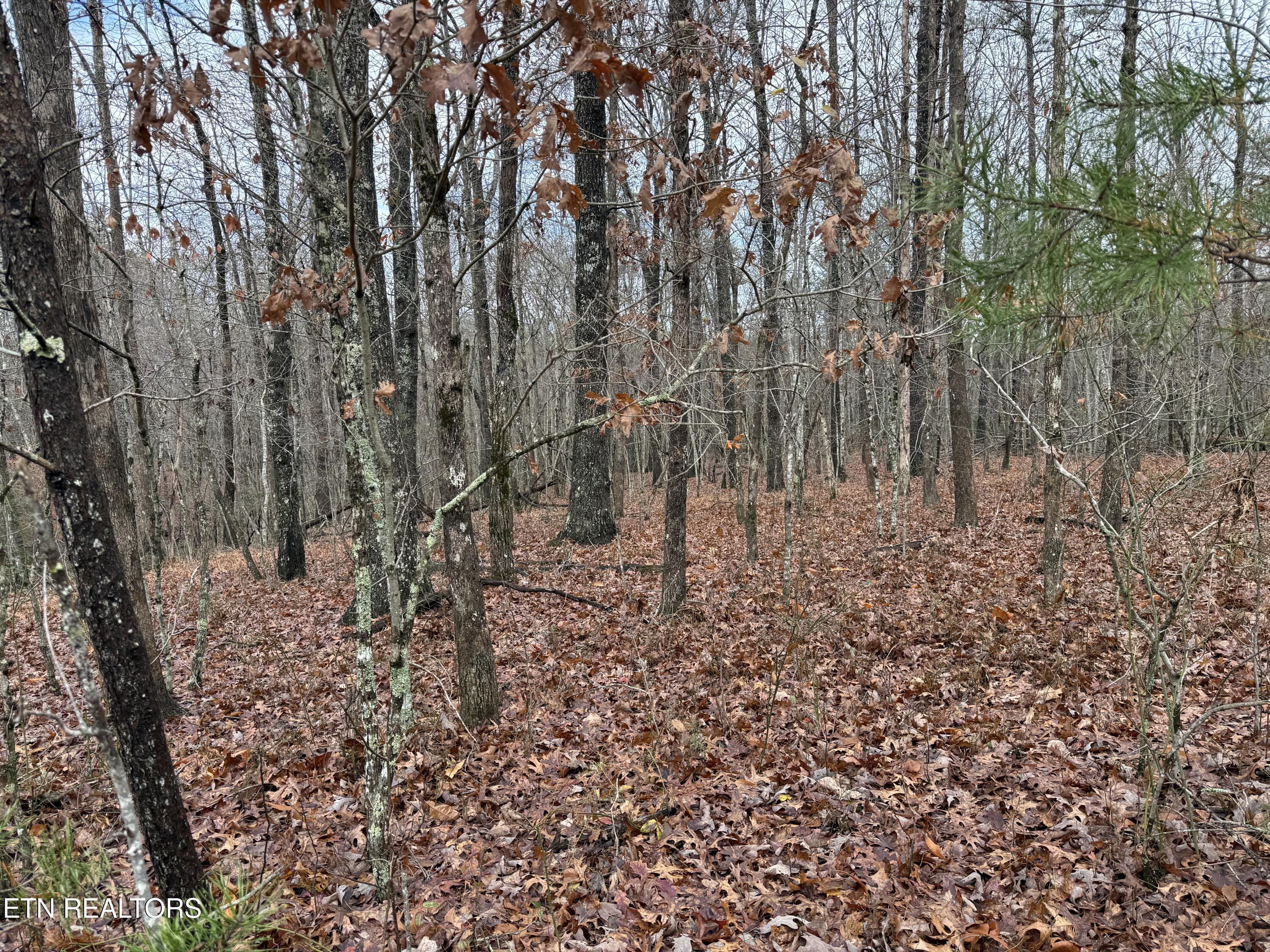 Icy Cove Trail Monterey TN 38574