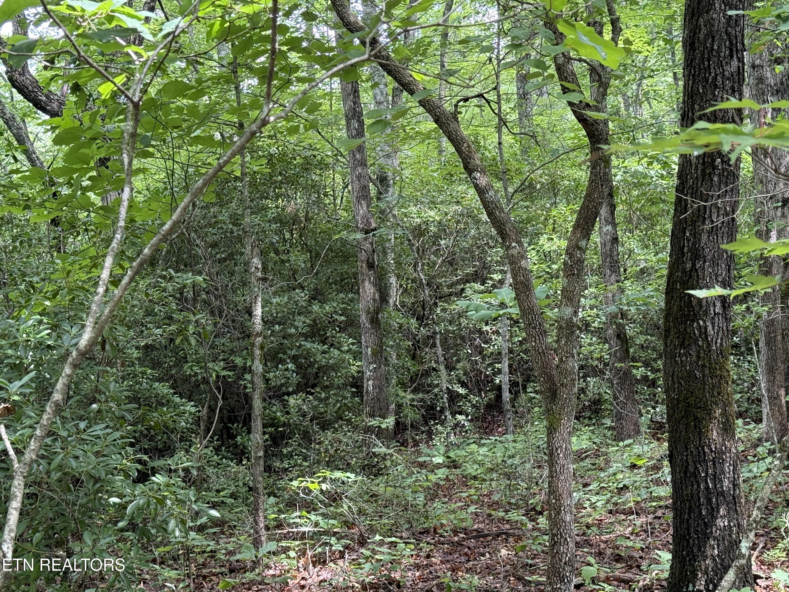 Icy Cove Trail Monterey TN 38574