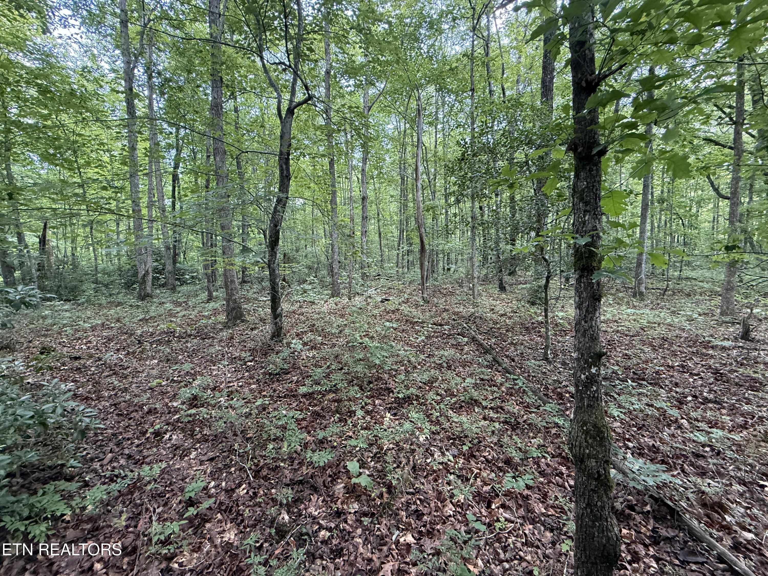 Icy Cove Trail Monterey TN 38574
