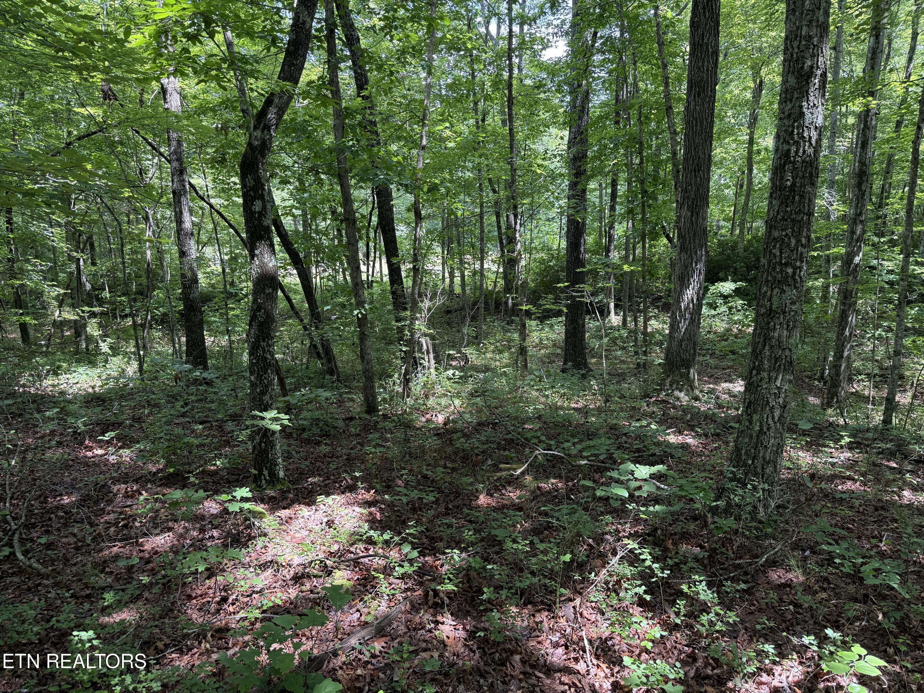 Icy Cove Trail Monterey TN 38574