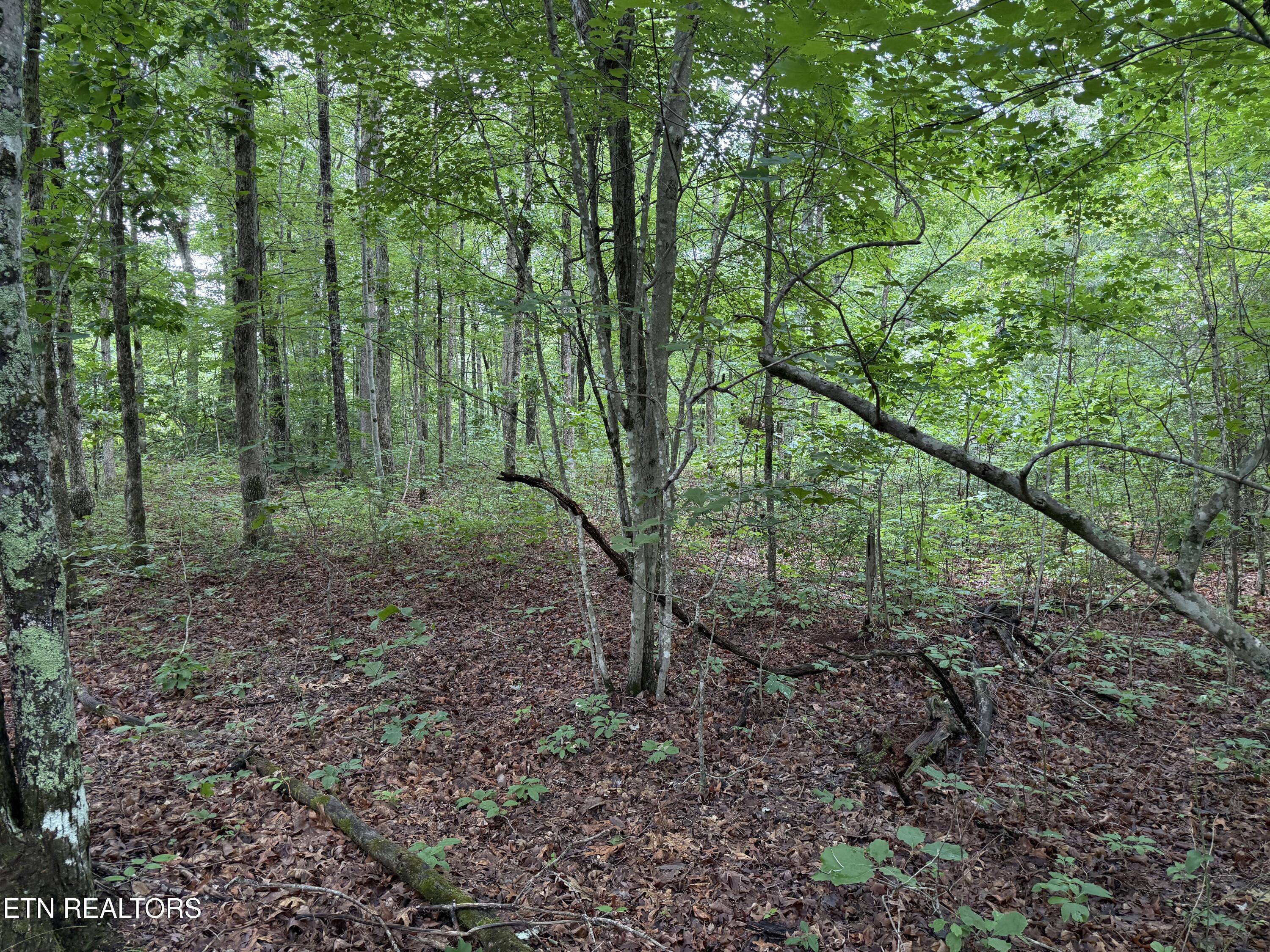 Icy Cove Trail Monterey TN 38574