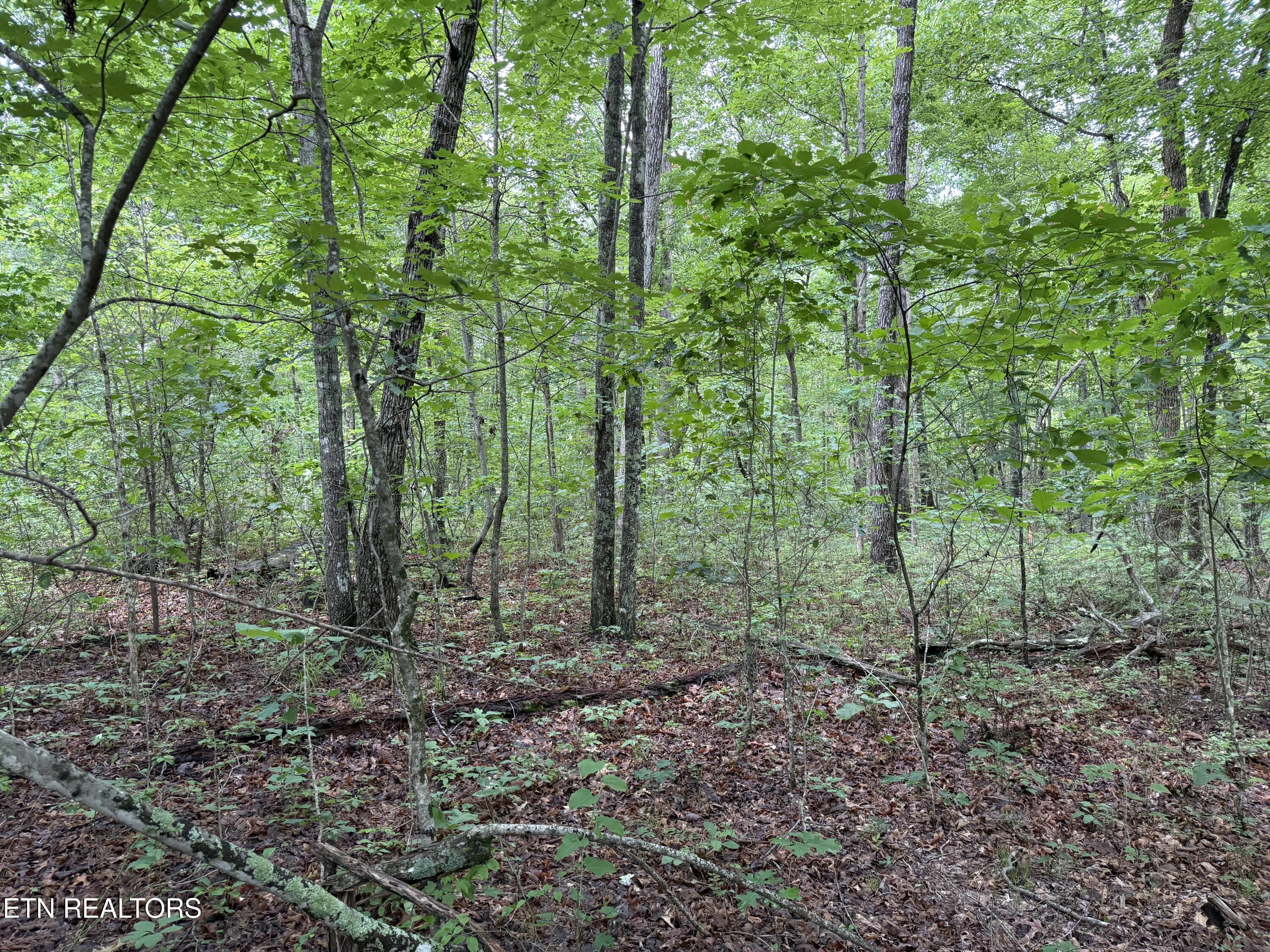 Icy Cove Trail Monterey TN 38574