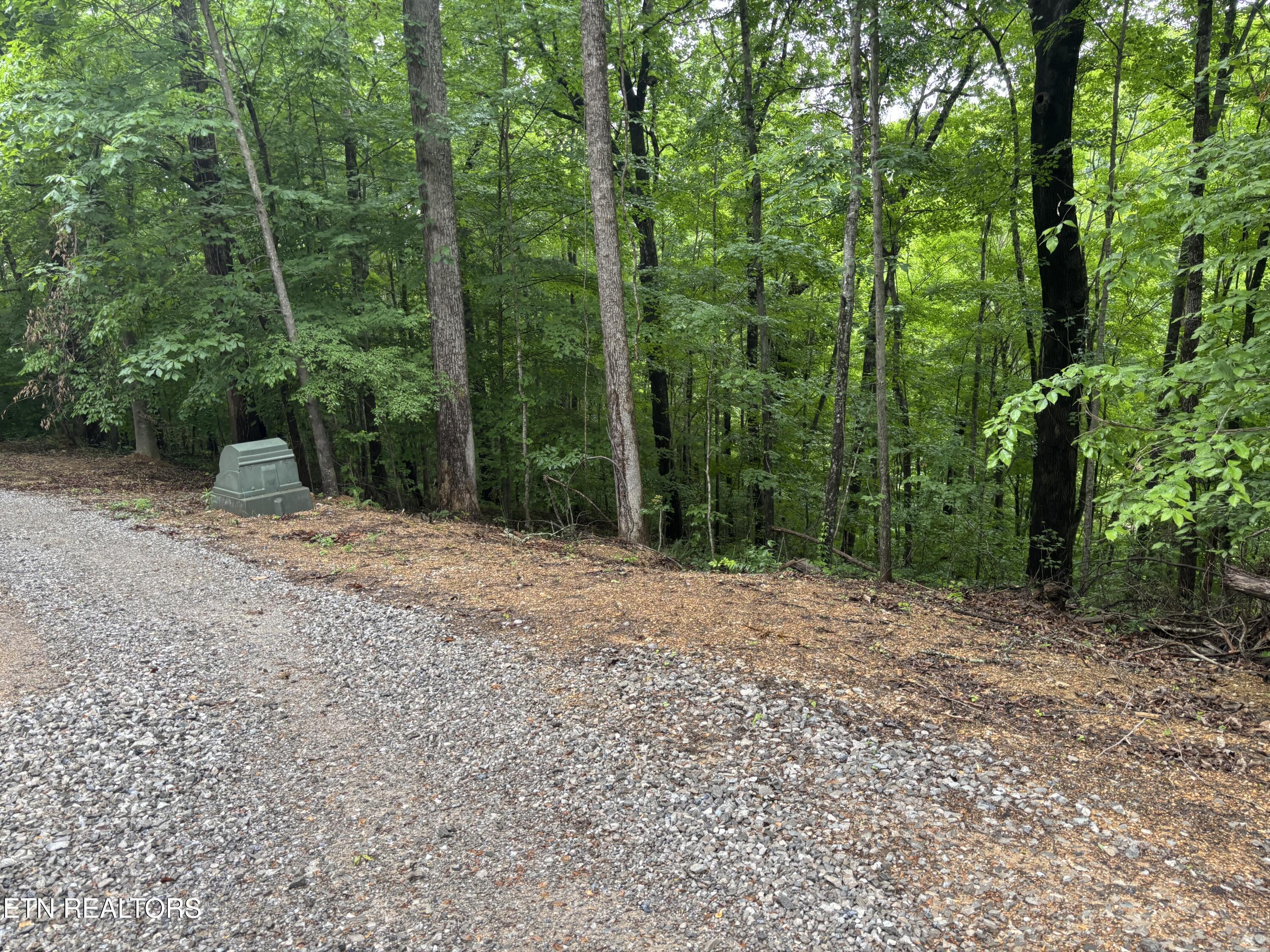 Lakemont Lane Caryville TN 37714