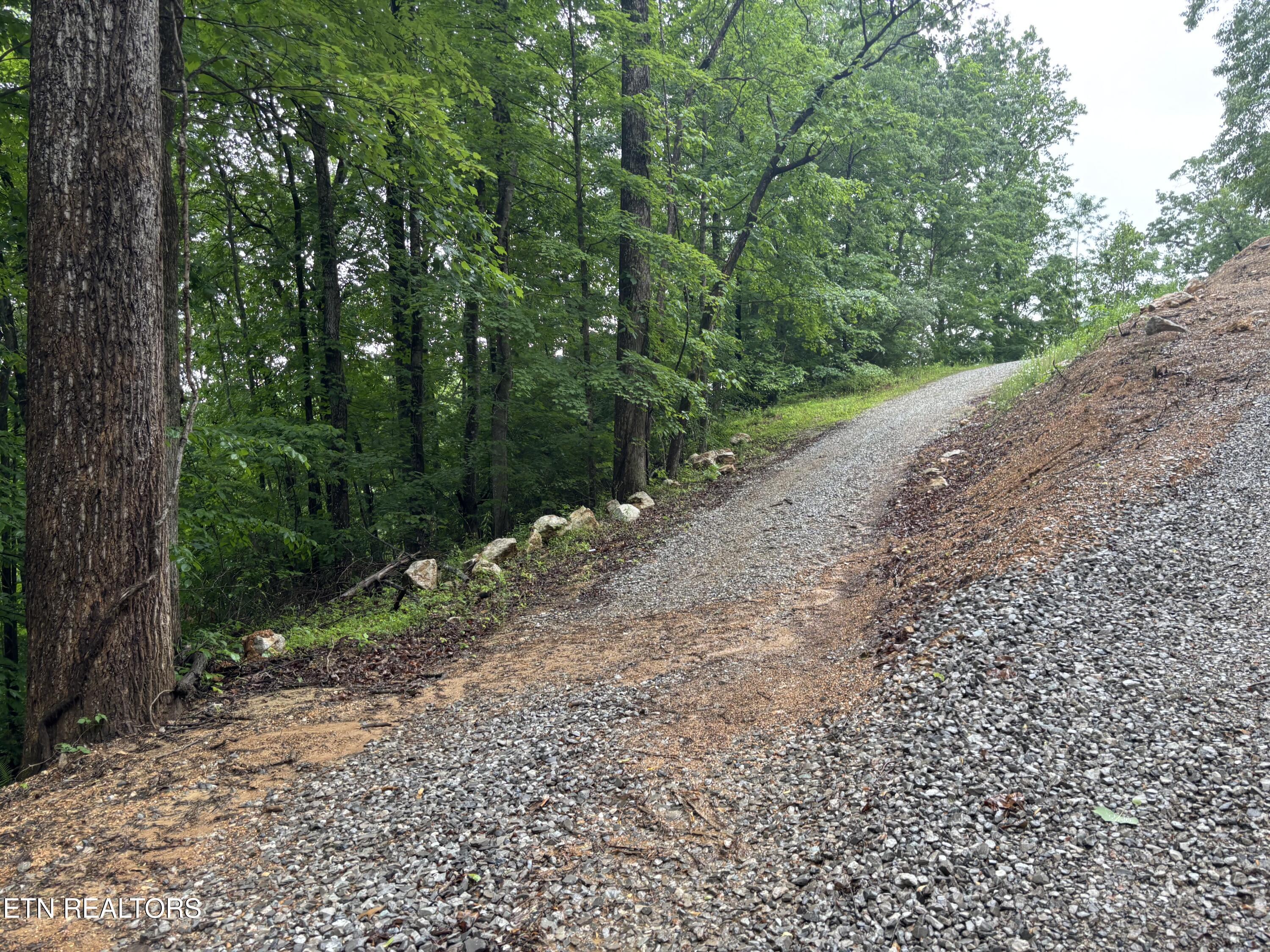 Lakemont Lane Caryville TN 37714