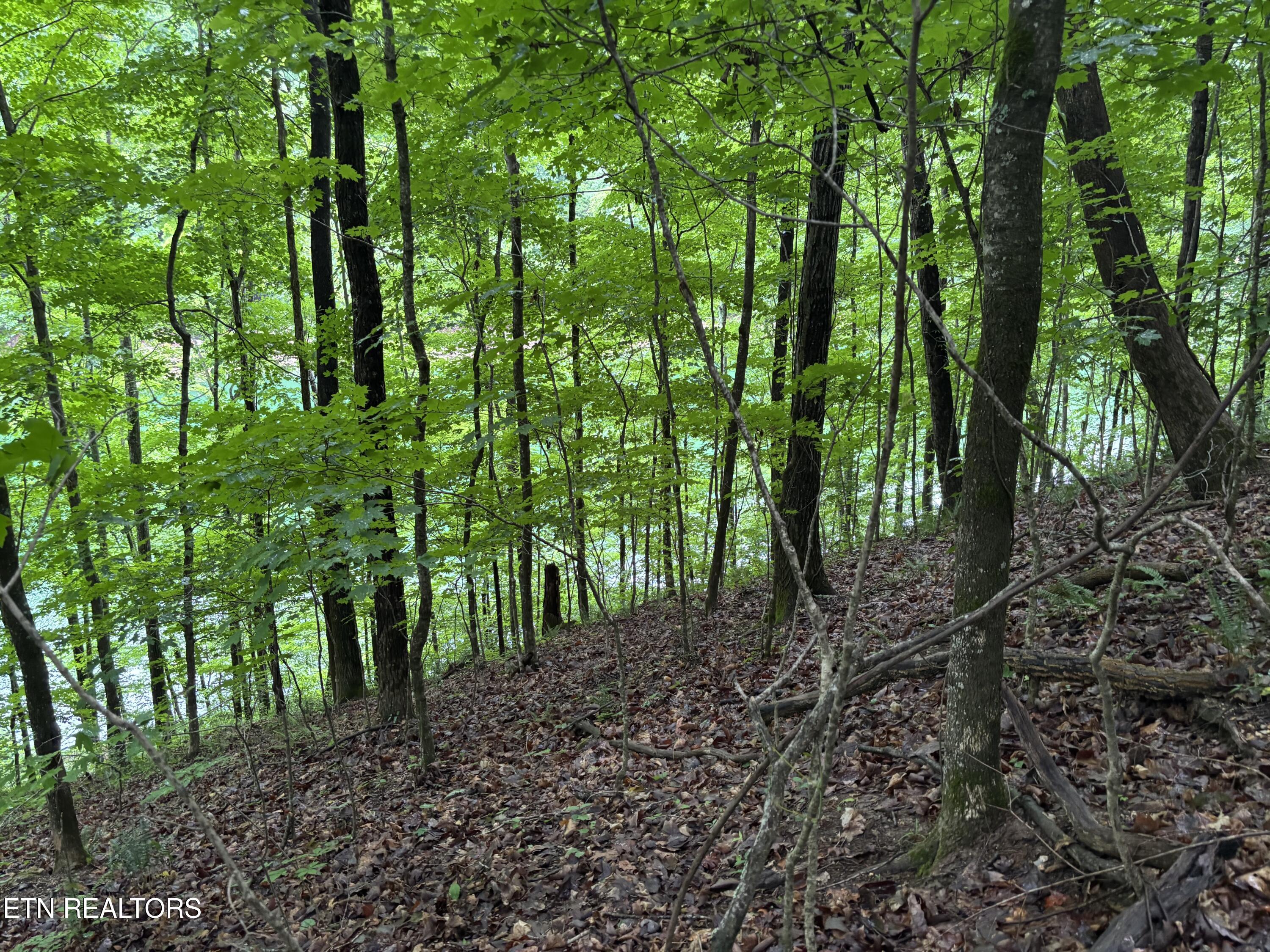 Lakemont Lane Caryville TN 37714
