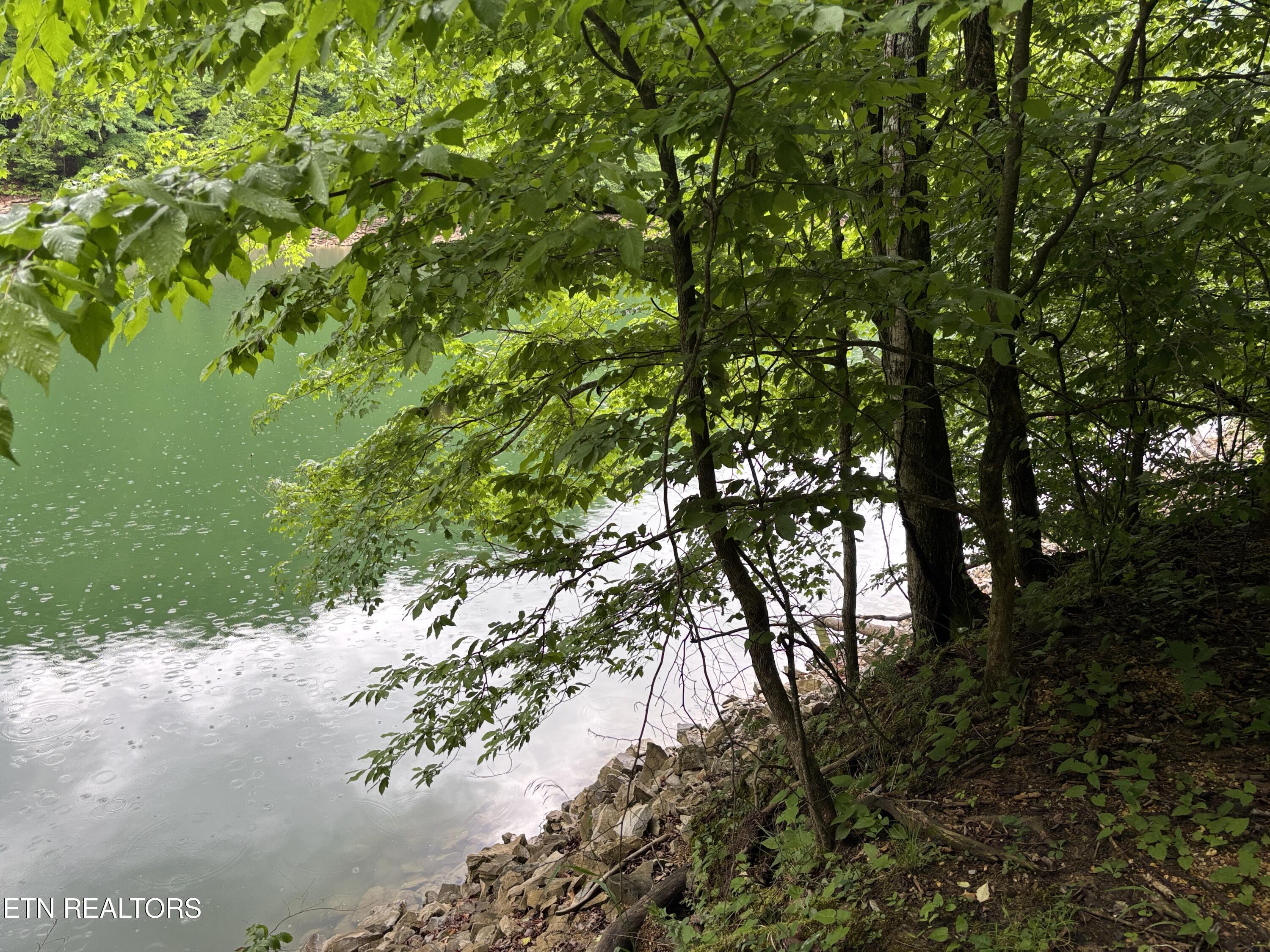 Lakemont Lane Caryville TN 37714