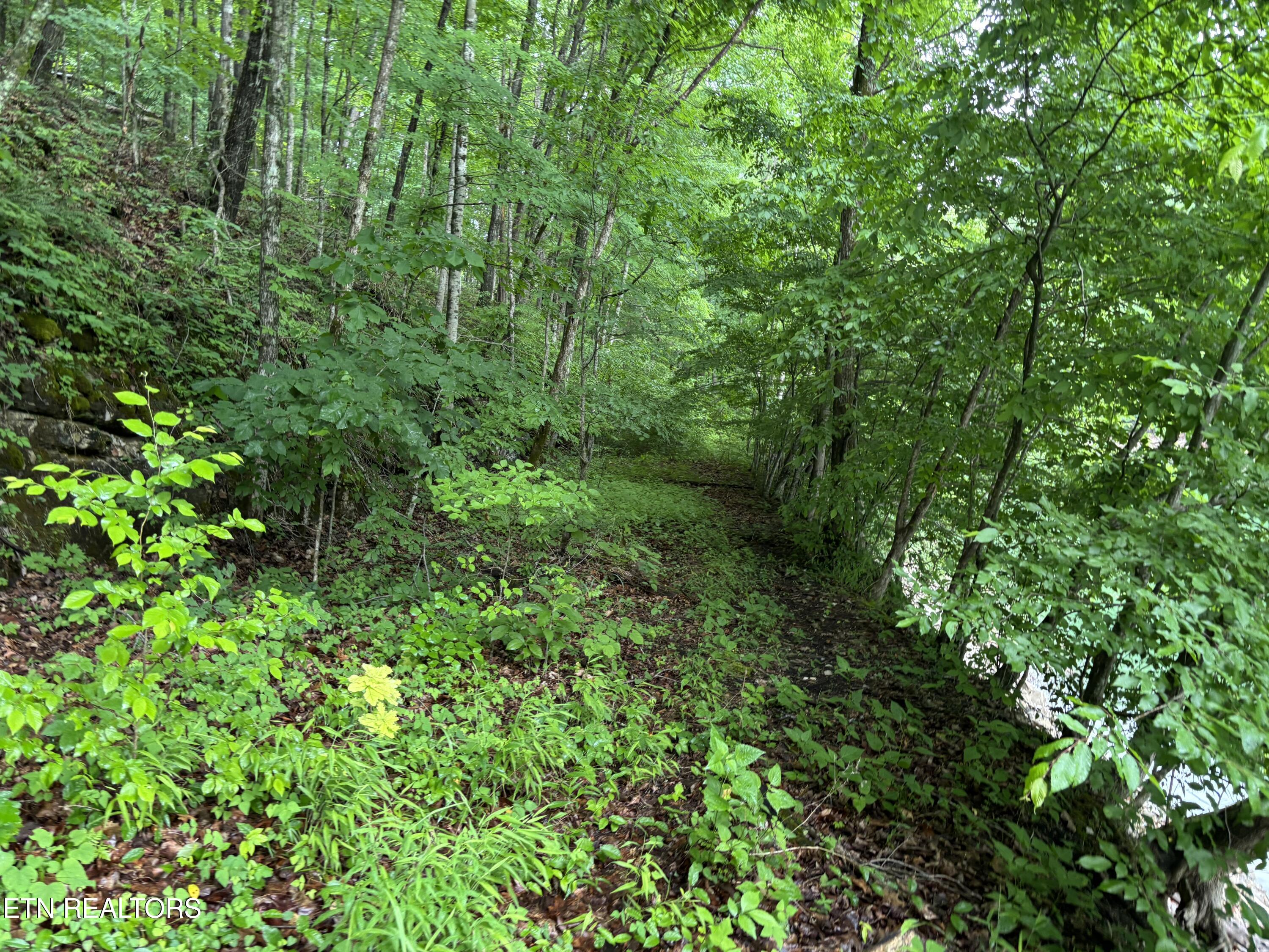 Lakemont Lane Caryville TN 37714