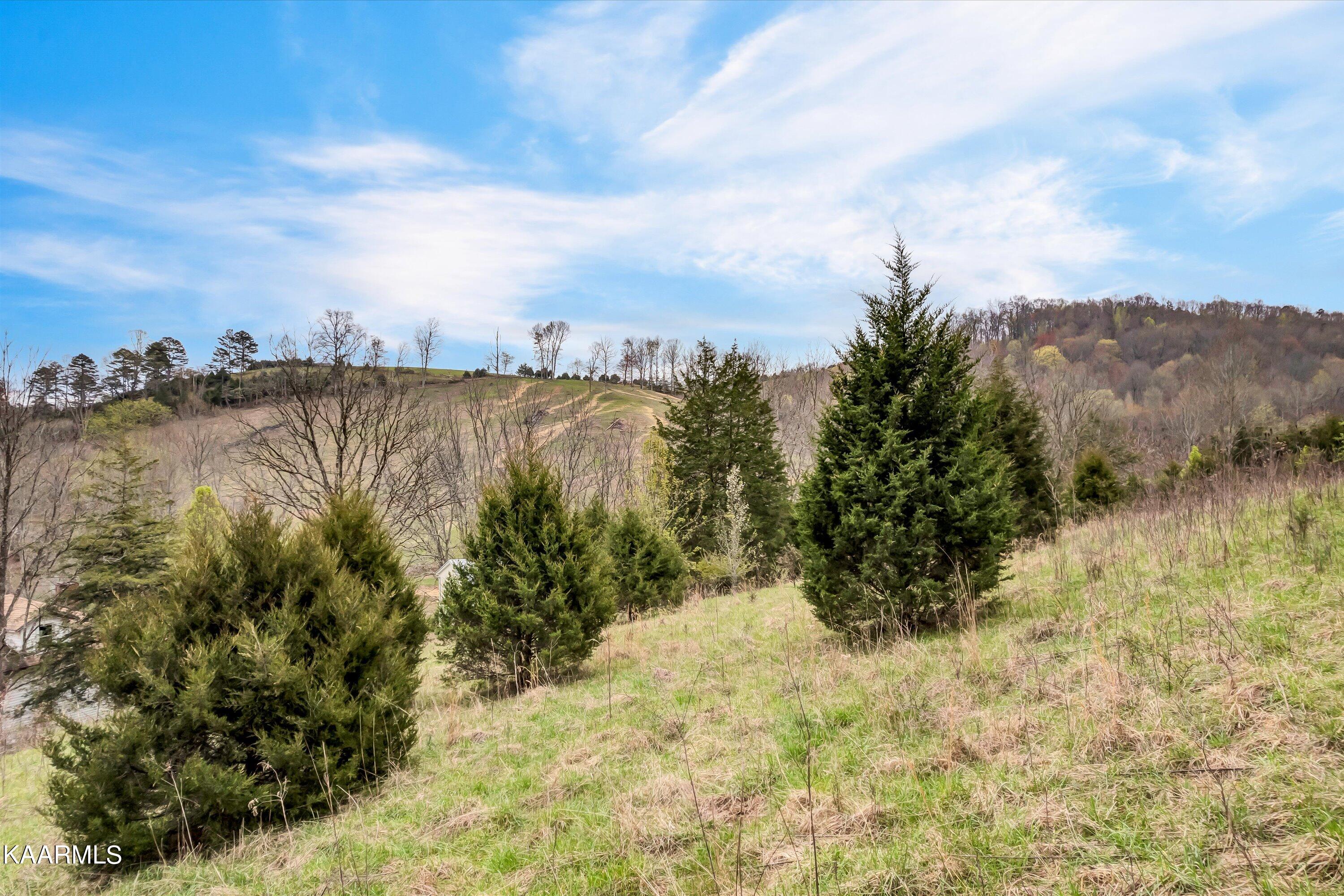 Lot 290 Maddox Lane New Tazewell TN 37825