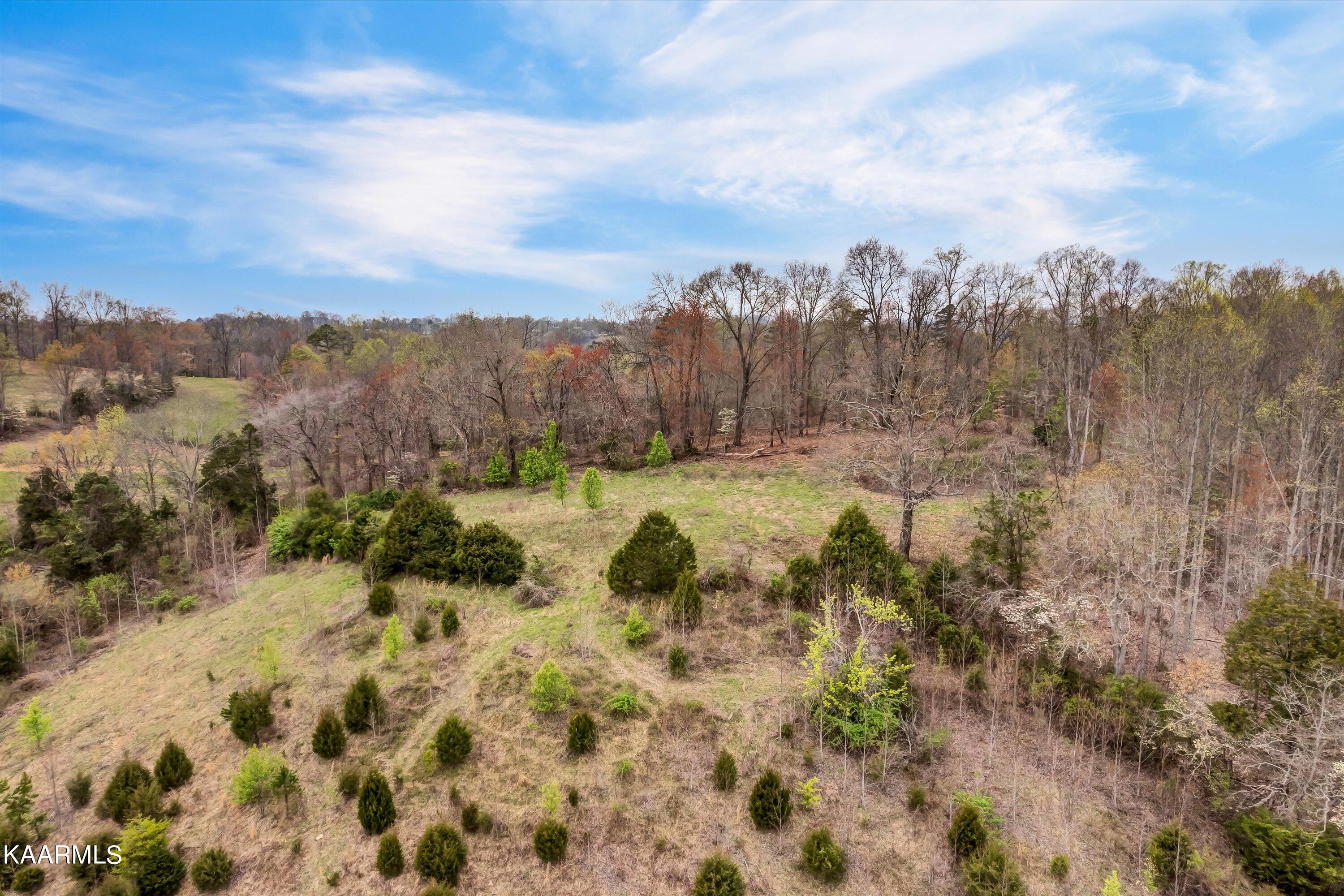 Lot 290 Maddox Lane New Tazewell TN 37825