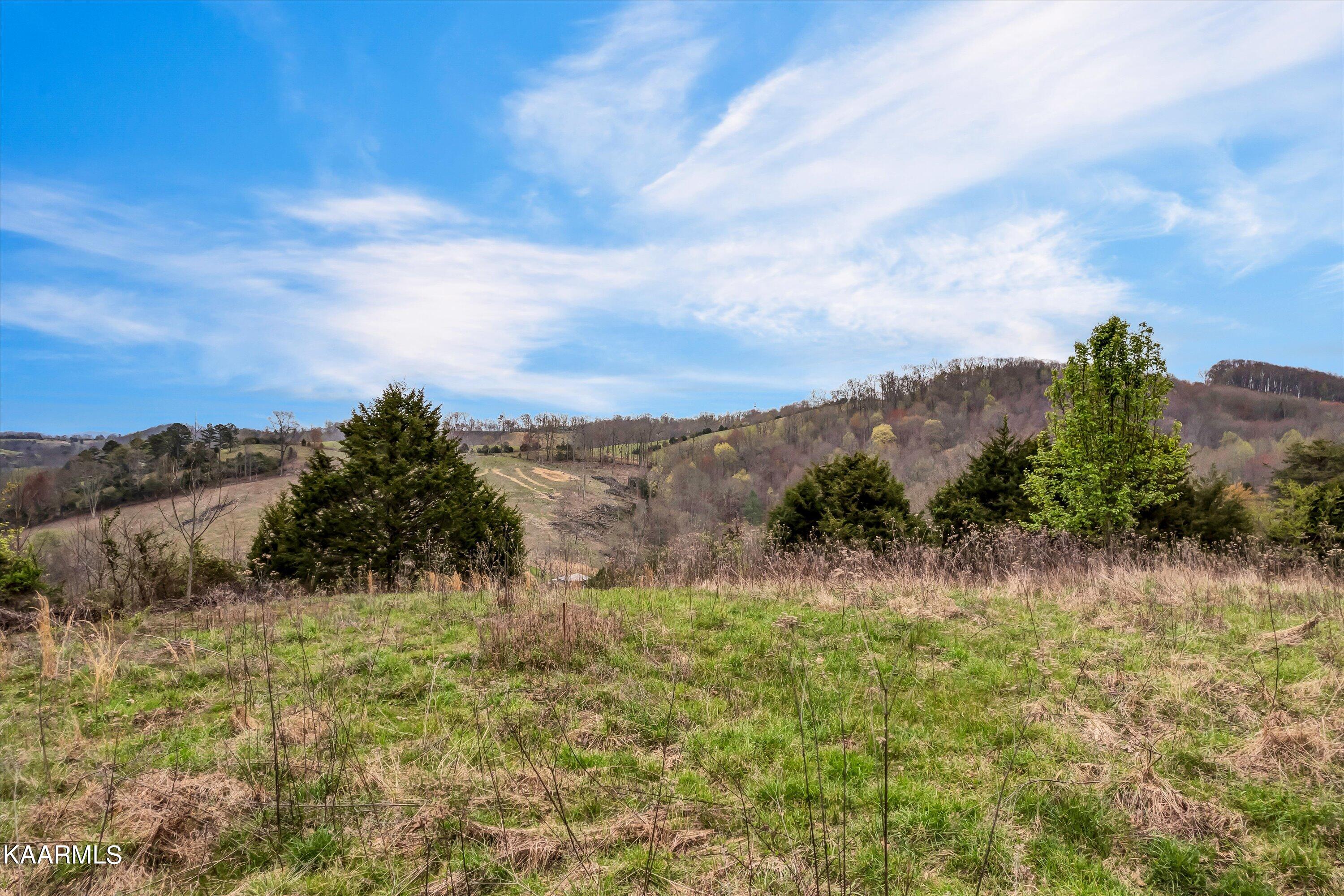 Lot 290 Maddox Lane New Tazewell TN 37825