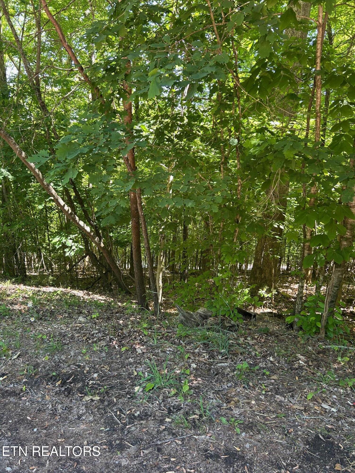 Lot 63 Stoney Rock Lane Jacksboro TN 37757