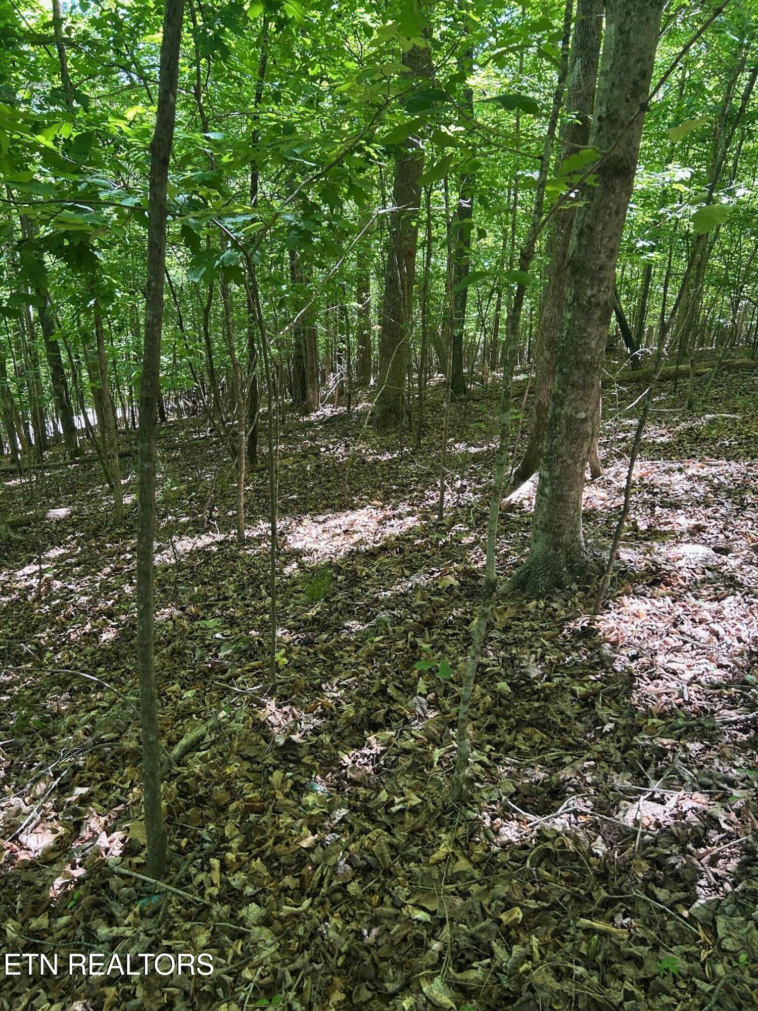 Lot 63 Stoney Rock Lane Jacksboro TN 37757
