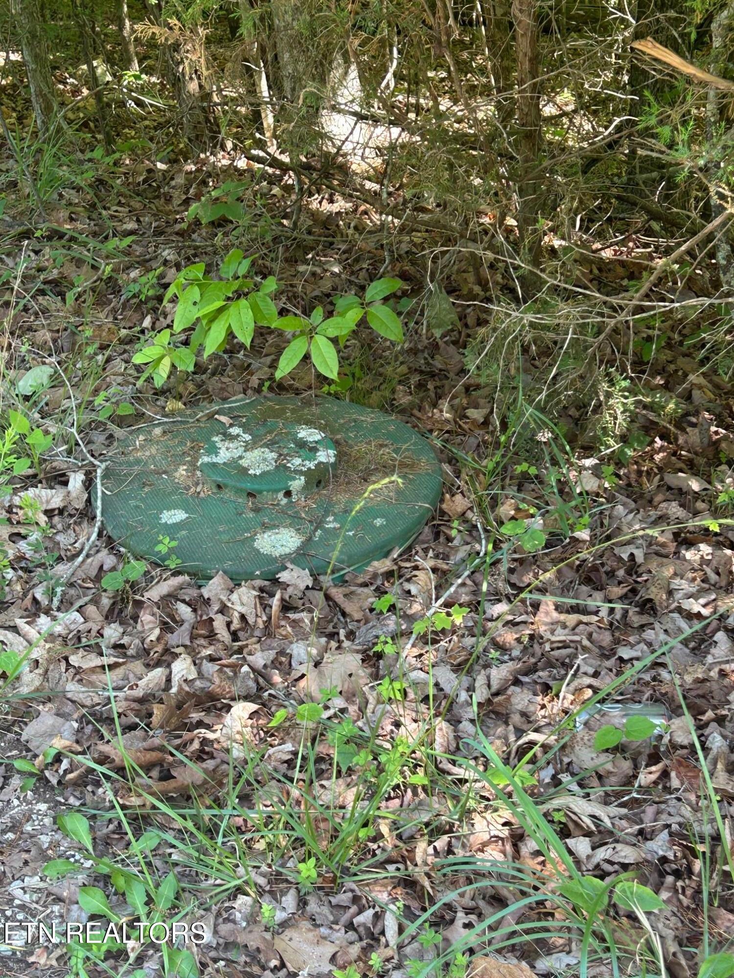 Lot 63 Stoney Rock Lane Jacksboro TN 37757