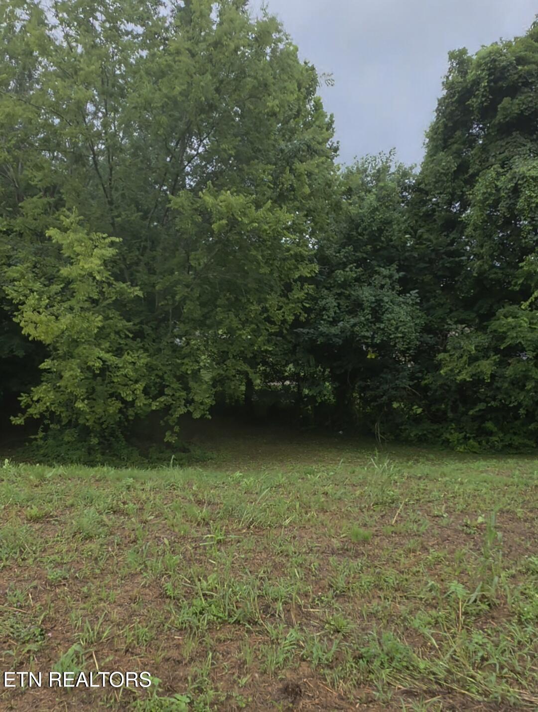 4517 Shane Lane Knoxville TN 37921