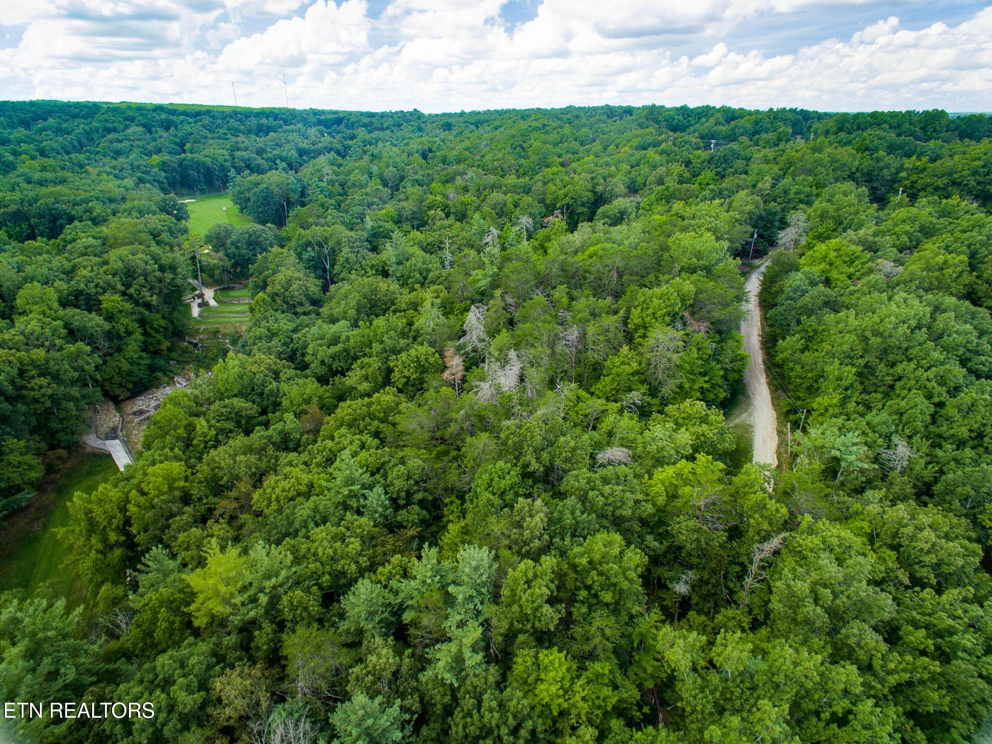 22 Lakeridge Terrace Fairfield Glade TN 38558