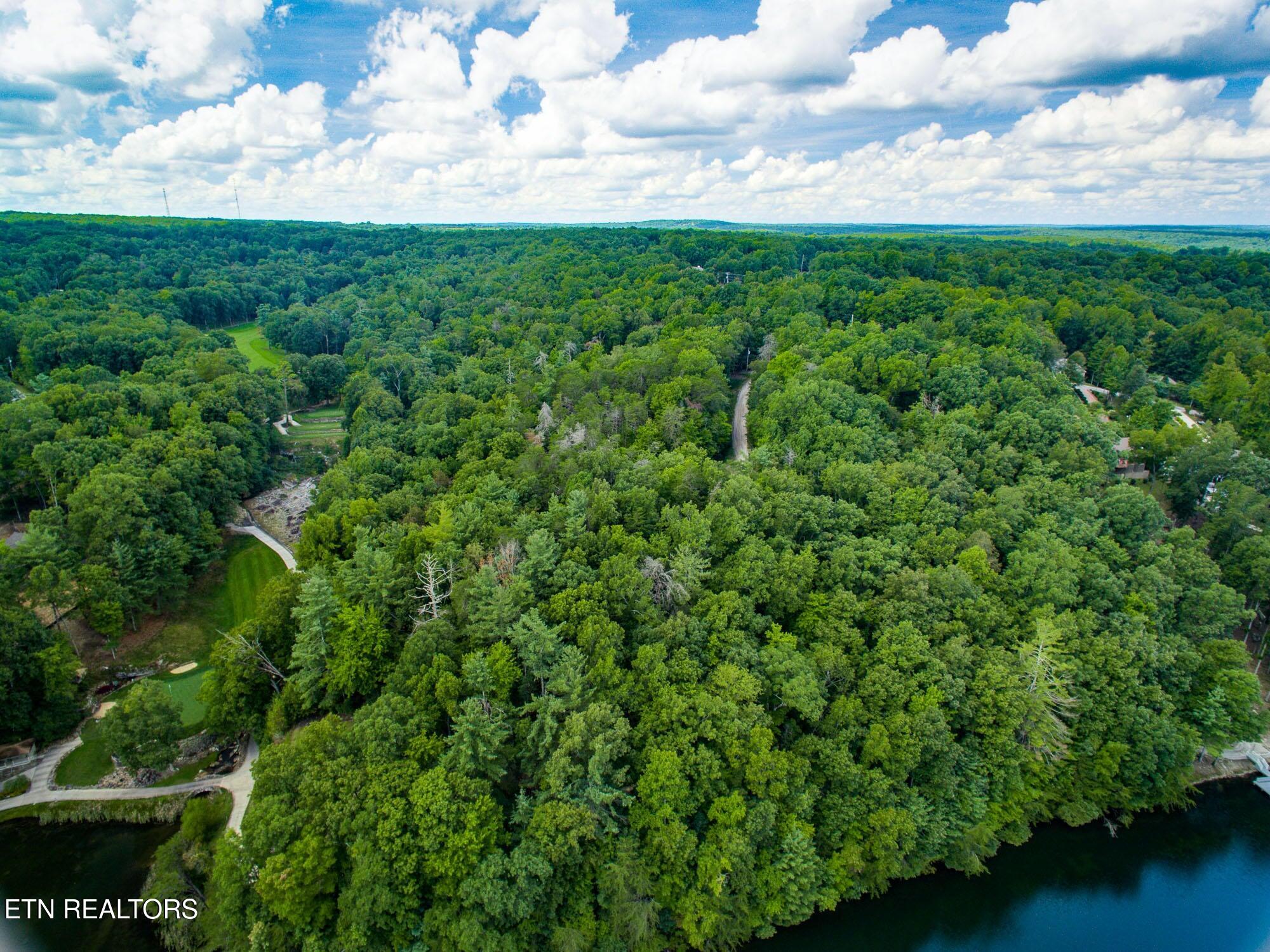22 Lakeridge Terrace Fairfield Glade TN 38558