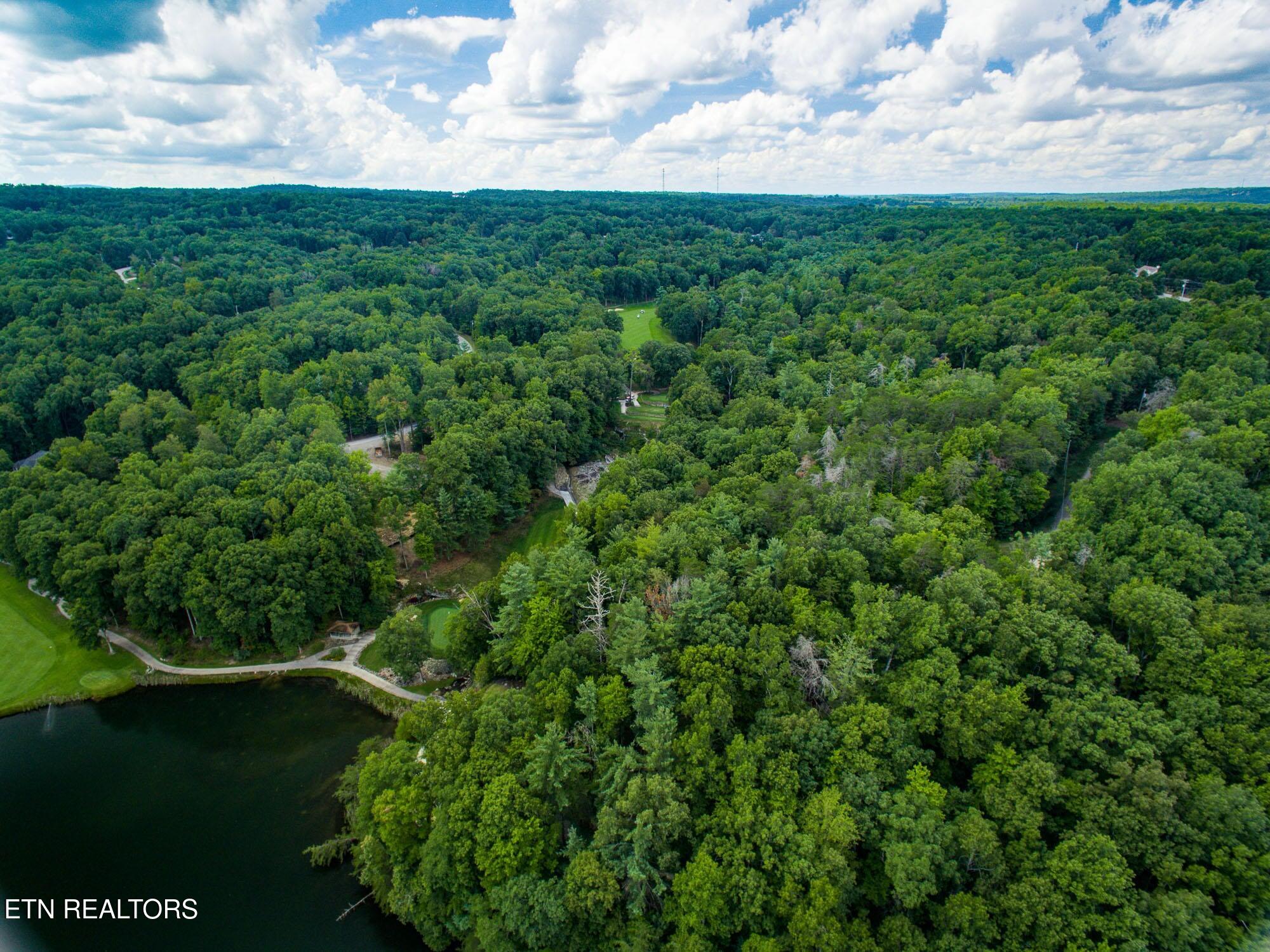 22 Lakeridge Terrace Fairfield Glade TN 38558
