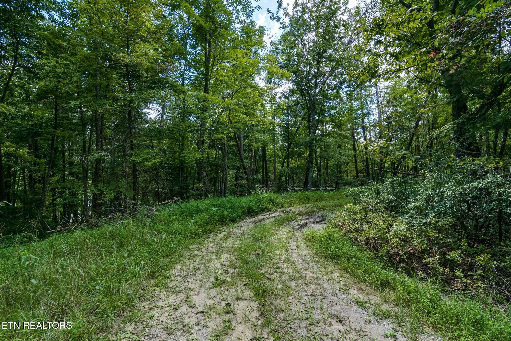 22 Lakeridge Terrace Fairfield Glade TN 38558
