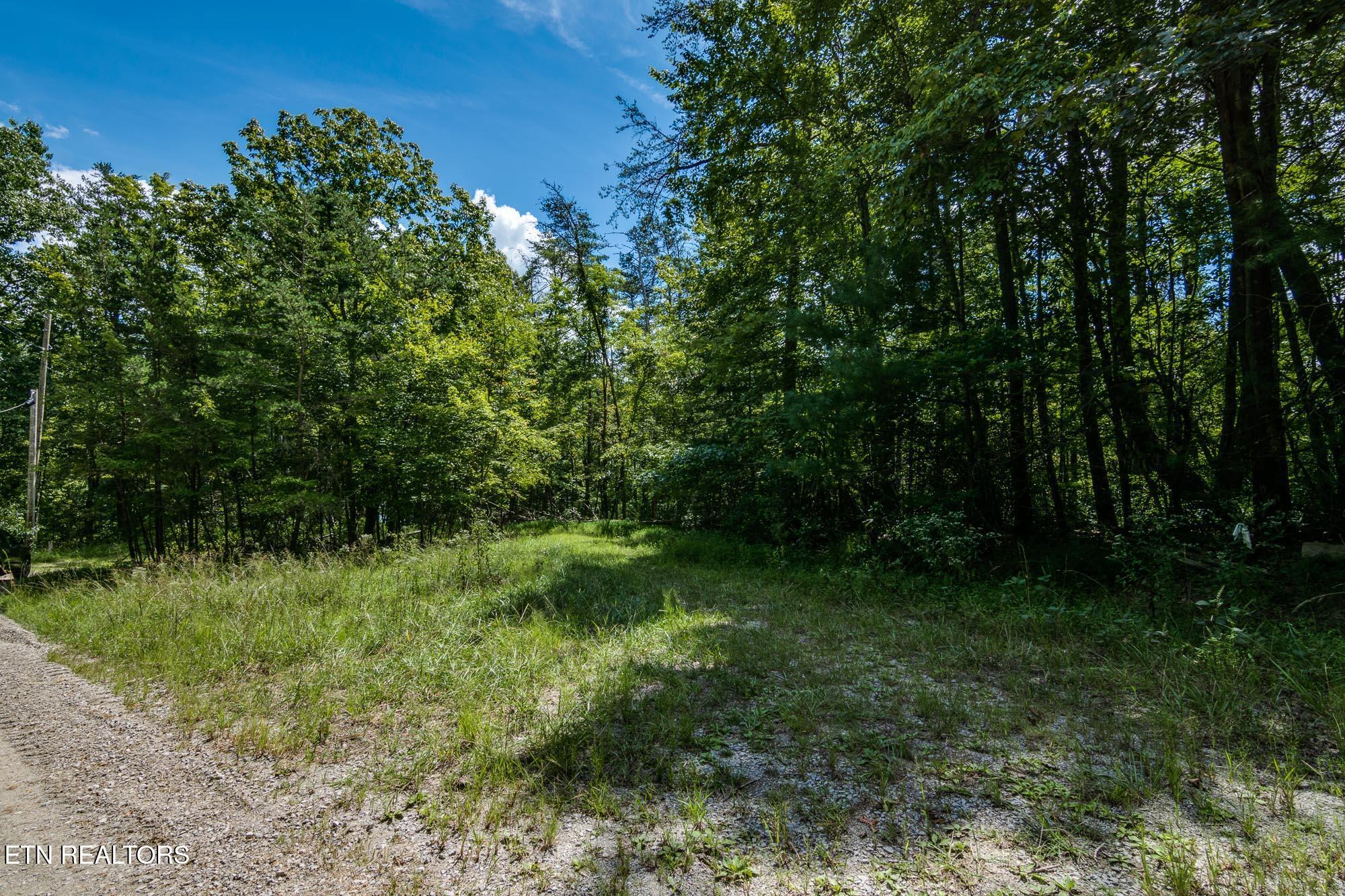 22 Lakeridge Terrace Fairfield Glade TN 38558