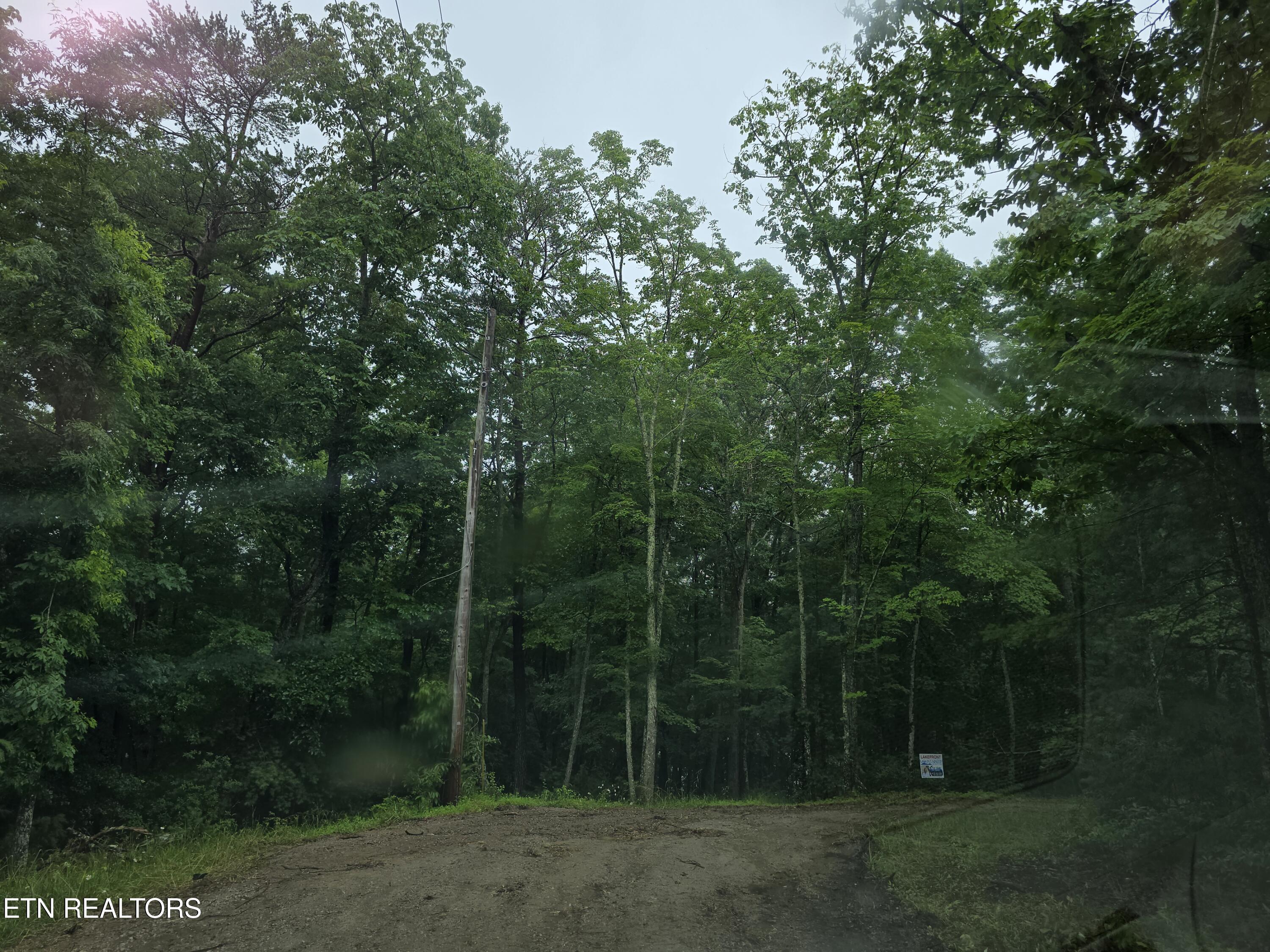 22 Lakeridge Terrace Fairfield Glade TN 38558