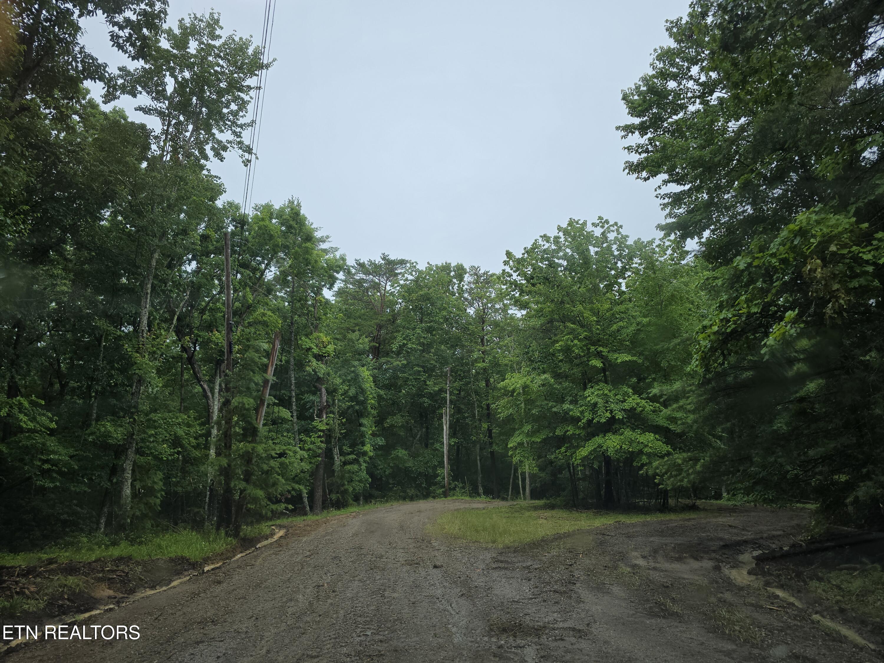 22 Lakeridge Terrace Fairfield Glade TN 38558