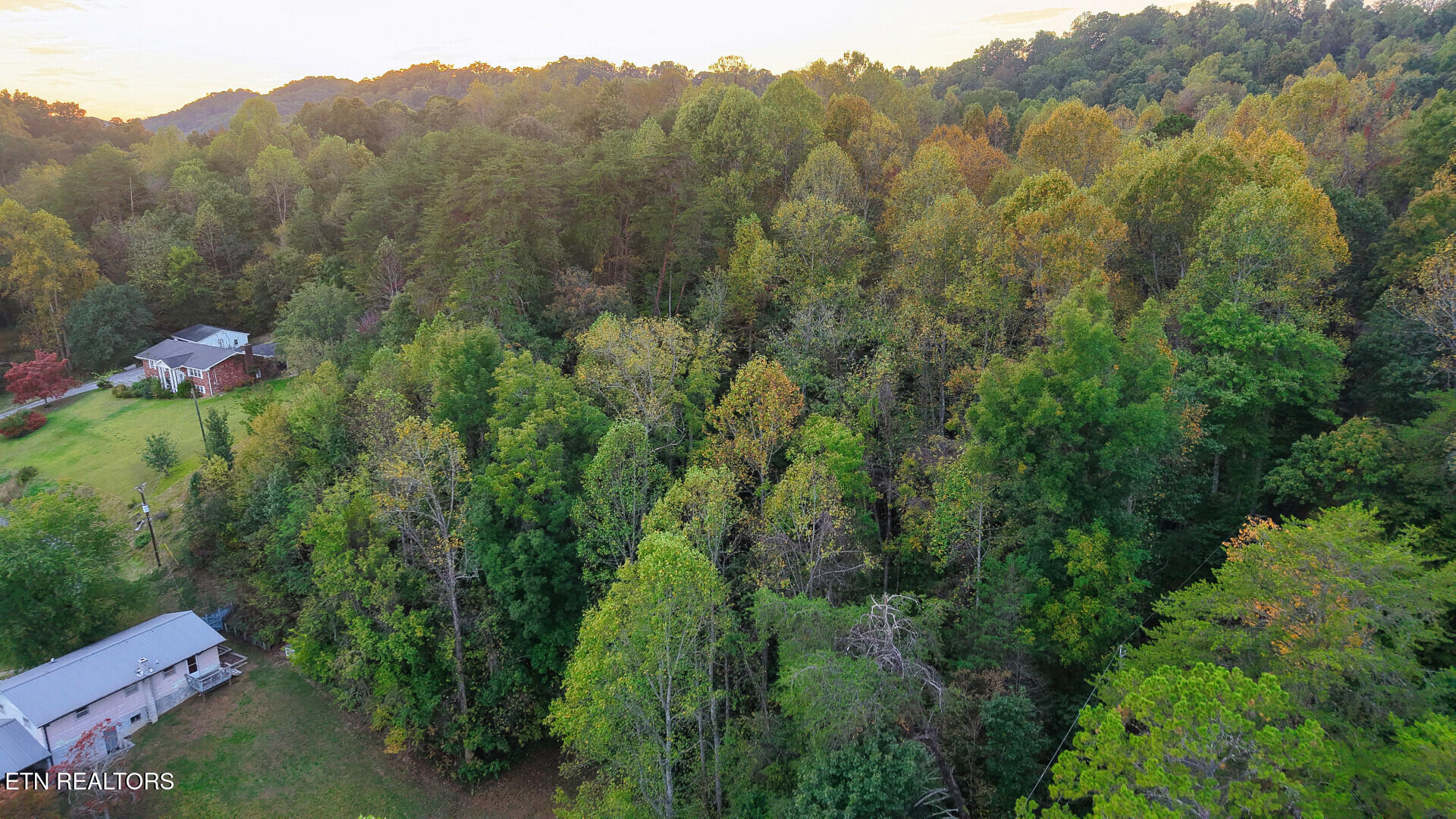 Williams Drive Maynardville TN 37807