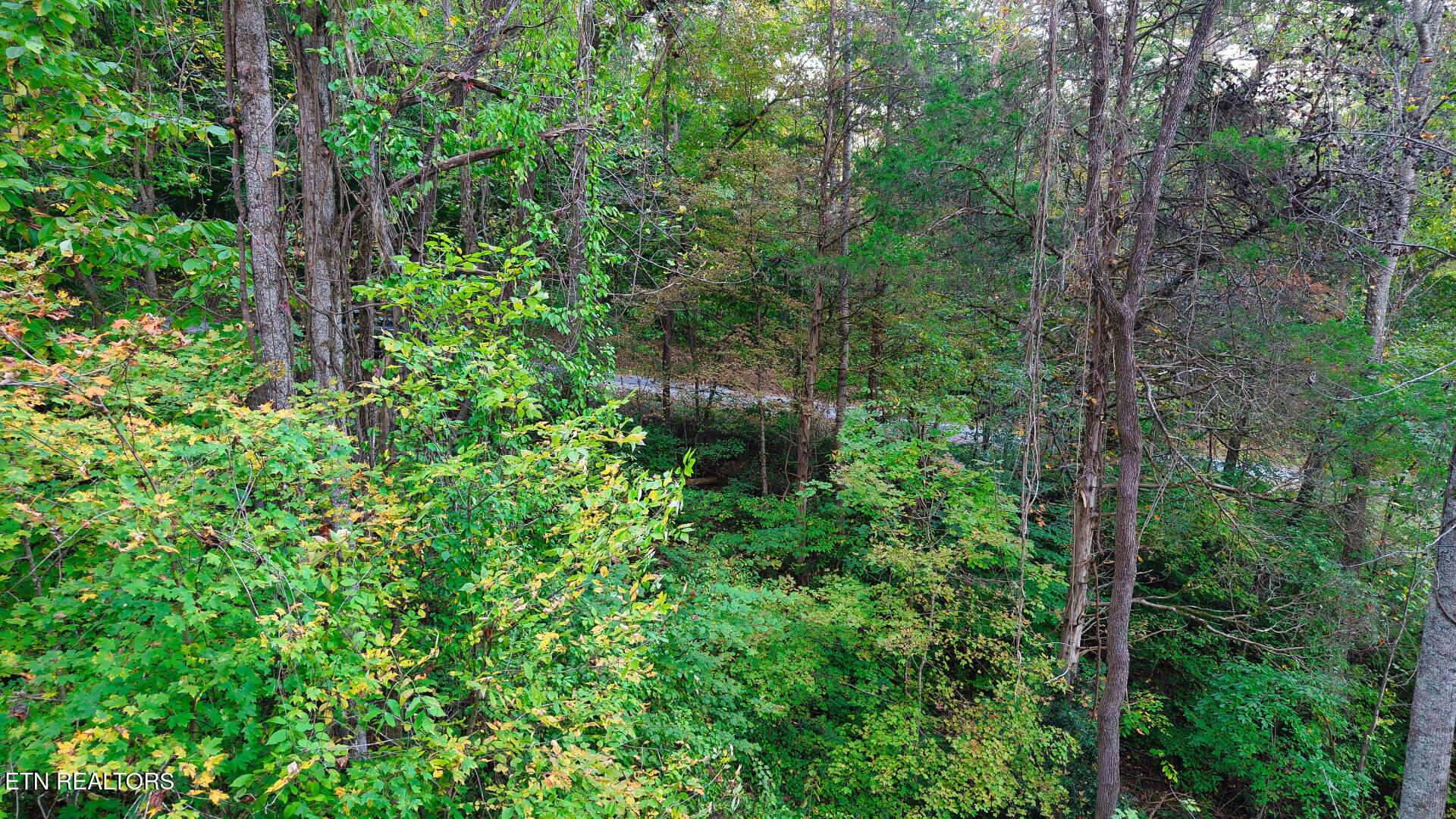 Williams Drive Maynardville TN 37807