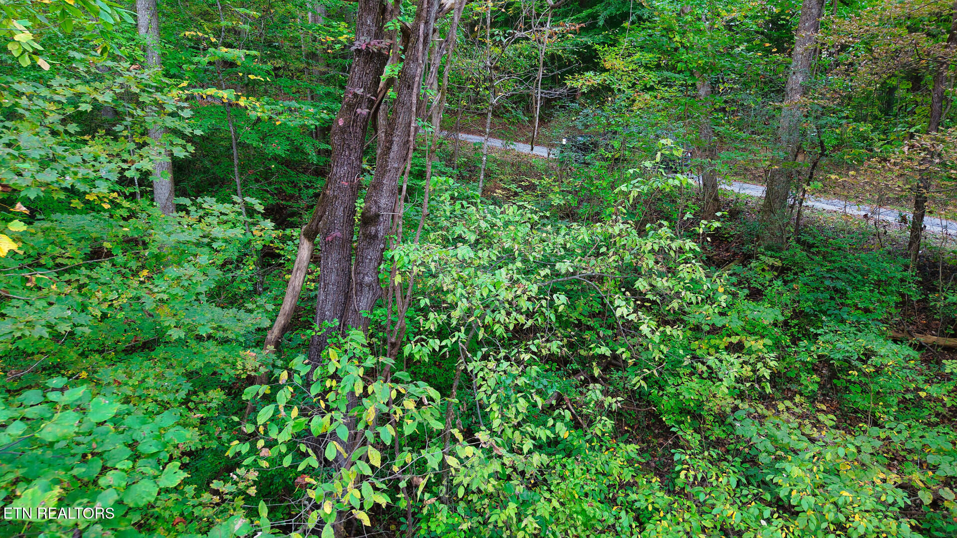 Williams Drive Maynardville TN 37807