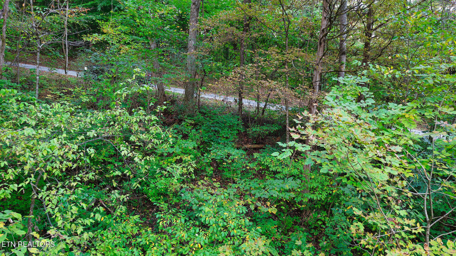 Williams Drive Maynardville TN 37807