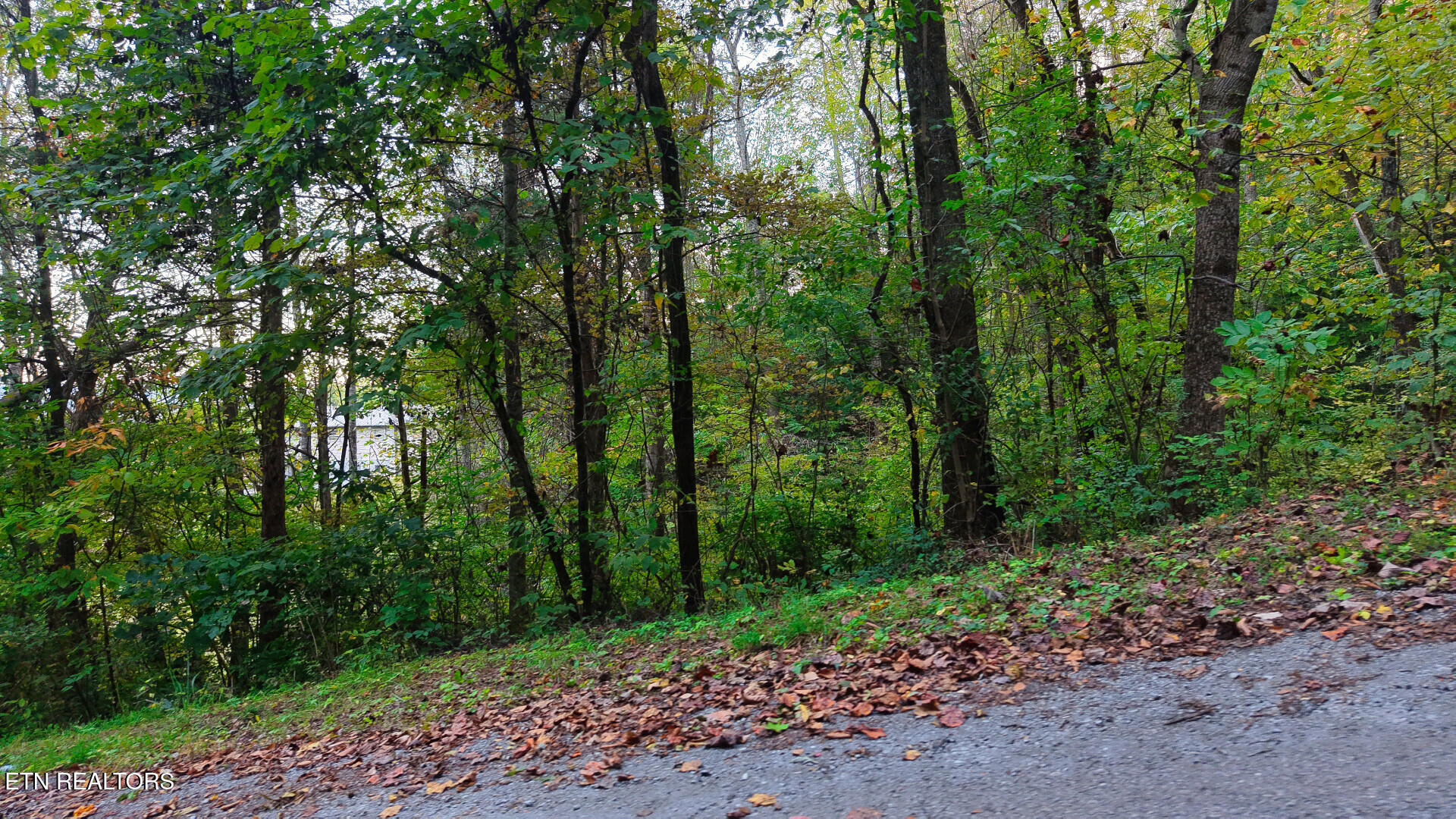 Williams Drive Maynardville TN 37807