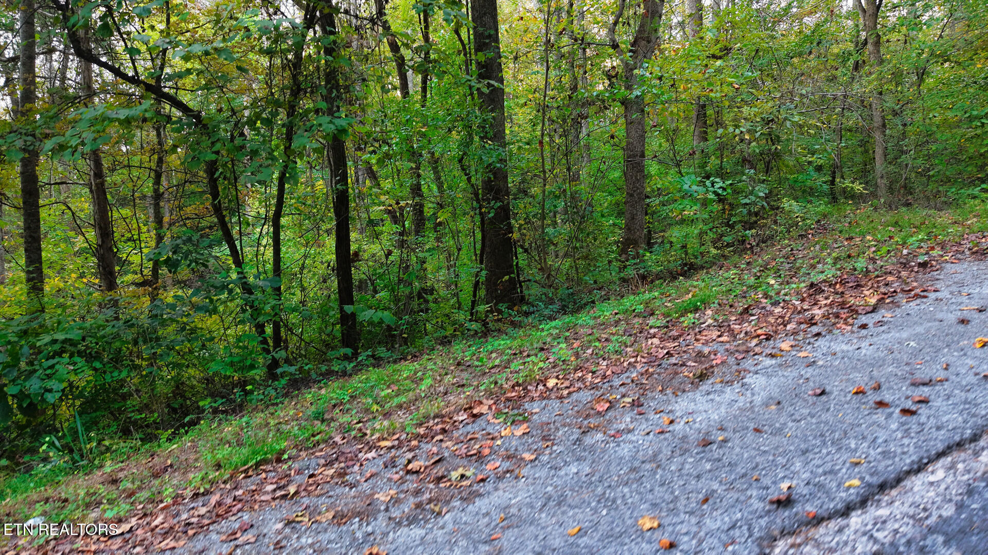 Williams Drive Maynardville TN 37807