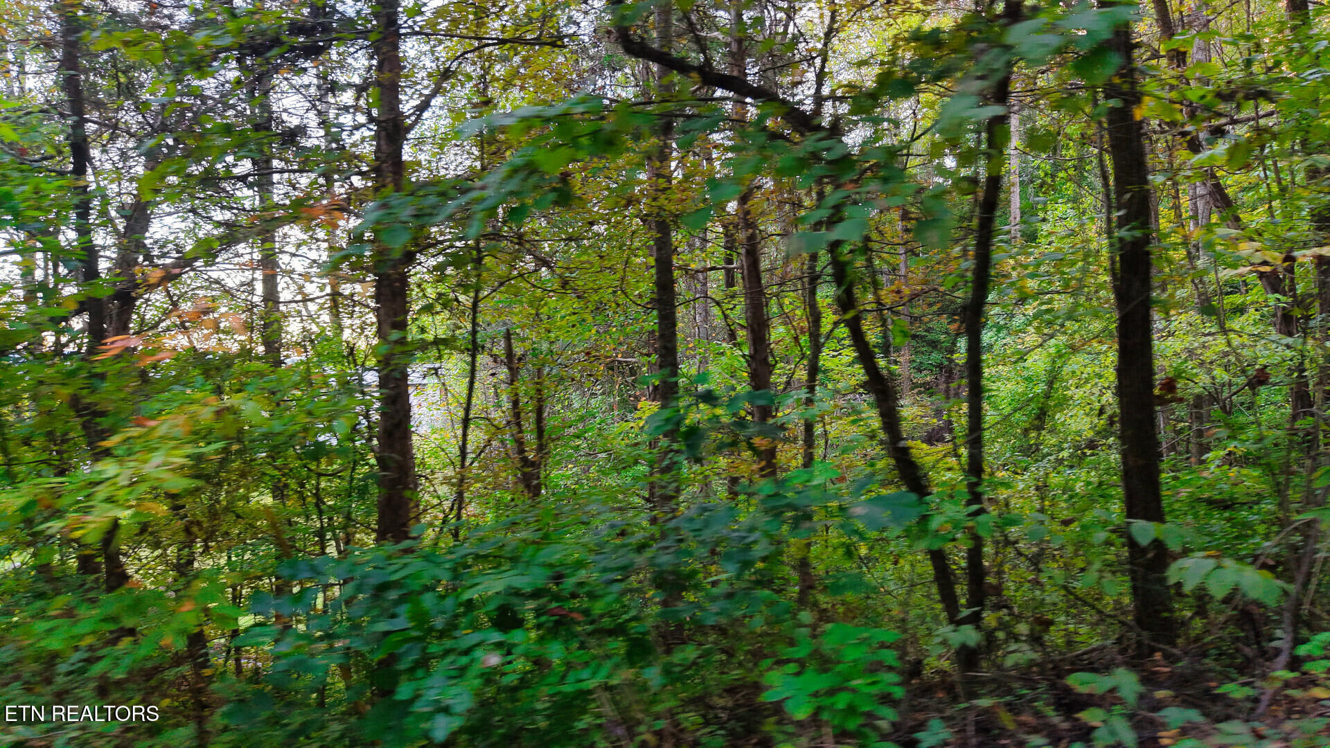 Williams Drive Maynardville TN 37807