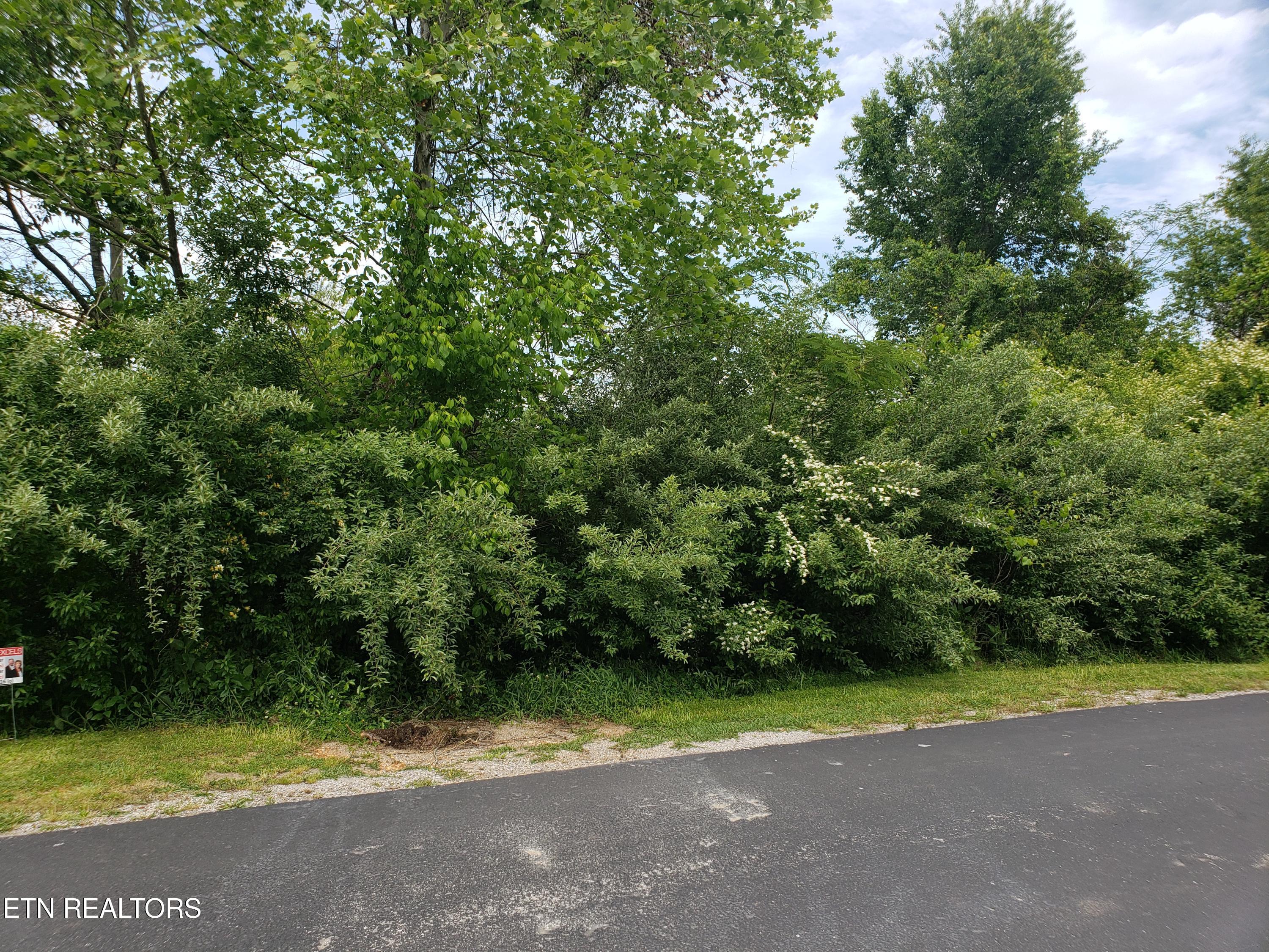 108 Wataga Lane Loudon TN 37774