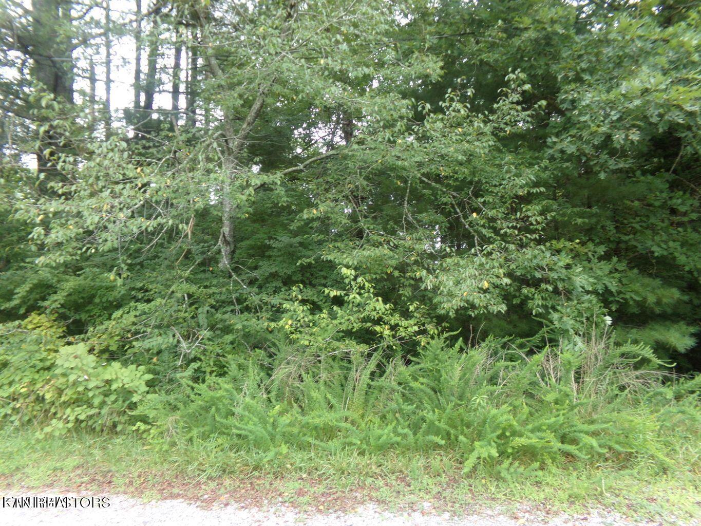 5018 Beaver Road Crossville TN 38572