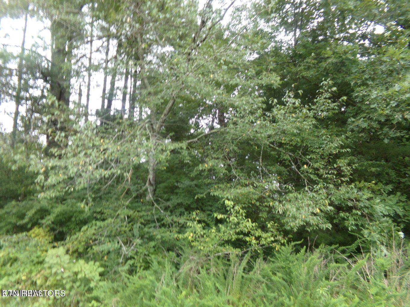 5018 Beaver Road Crossville TN 38572