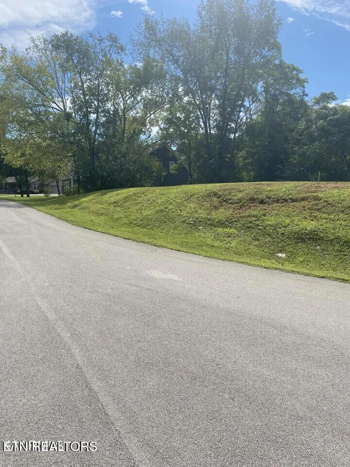 1820 Crazyhorse Drive Maryville TN 37801
