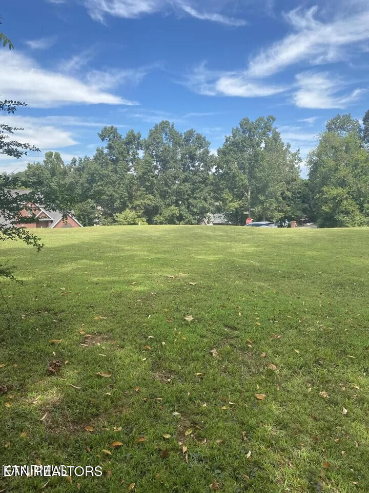 1820 Crazyhorse Drive Maryville TN 37801