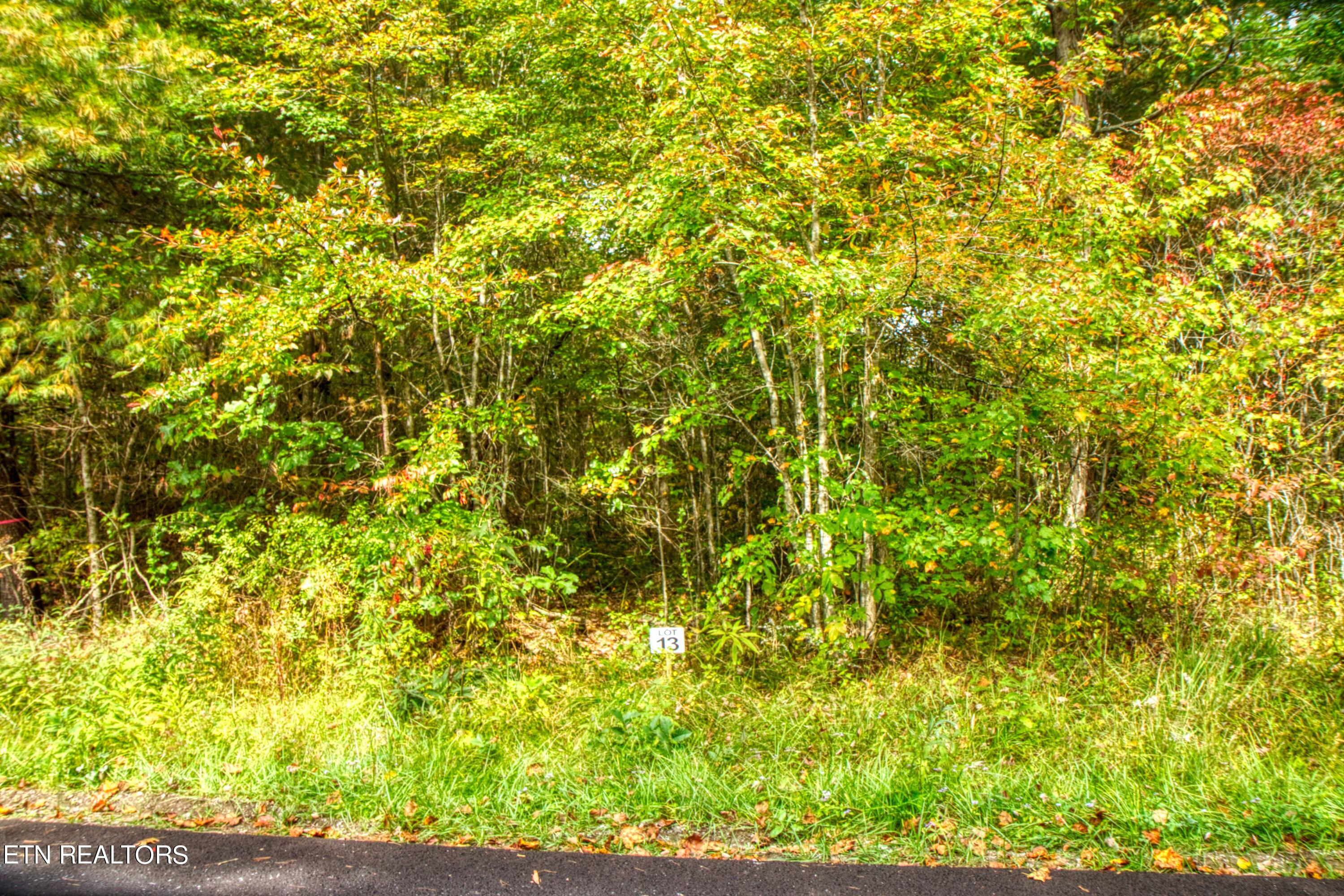 Lot 13 Old Mount Helen Road Allardt TN 38504