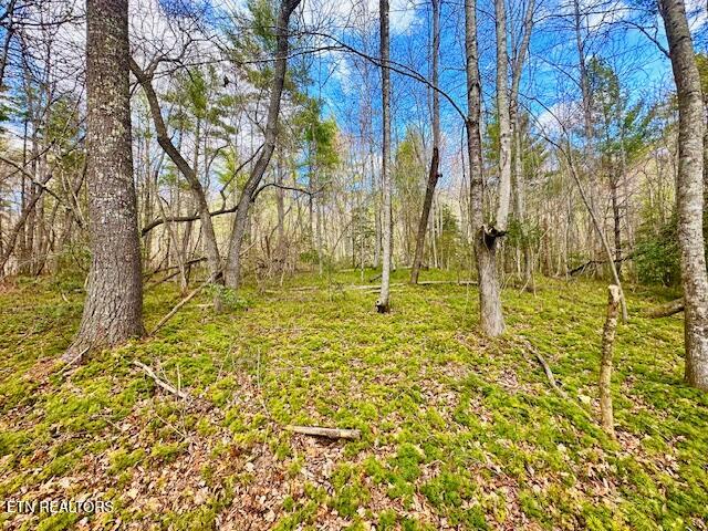 144 Gunter Place Sunbright TN 37872