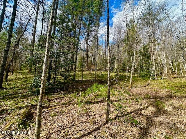 144 Gunter Place Sunbright TN 37872