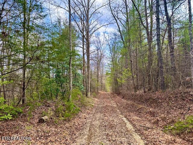 144 Gunter Place Sunbright TN 37872