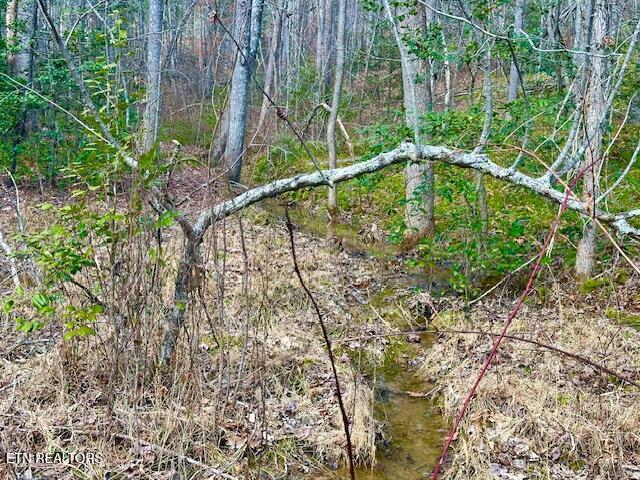 144 Gunter Place Sunbright TN 37872