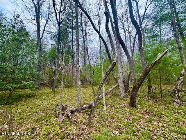 144 Gunter Place Sunbright TN 37872