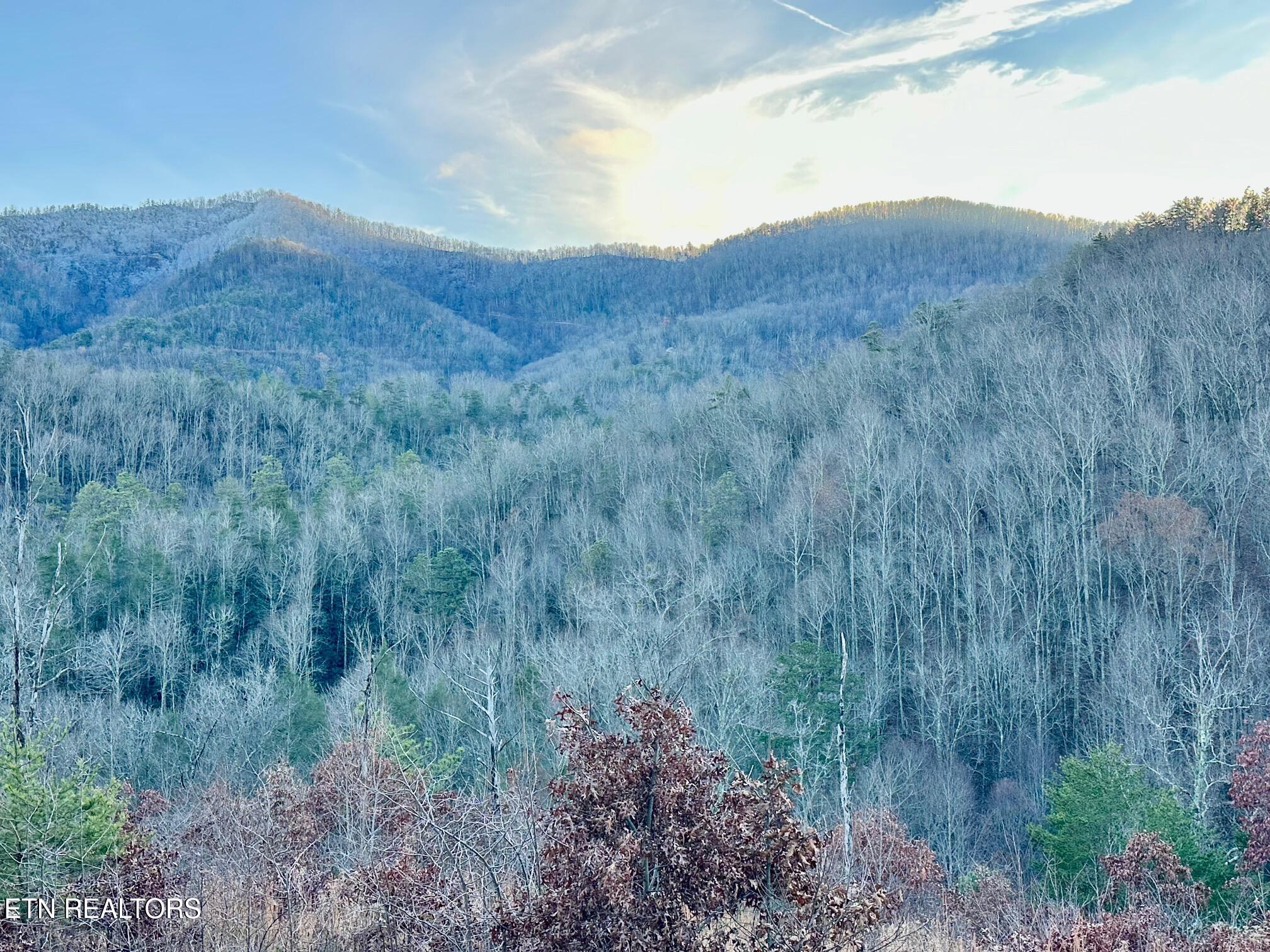 1611 Mountain Dreams Way Pigeon Forge TN 37862