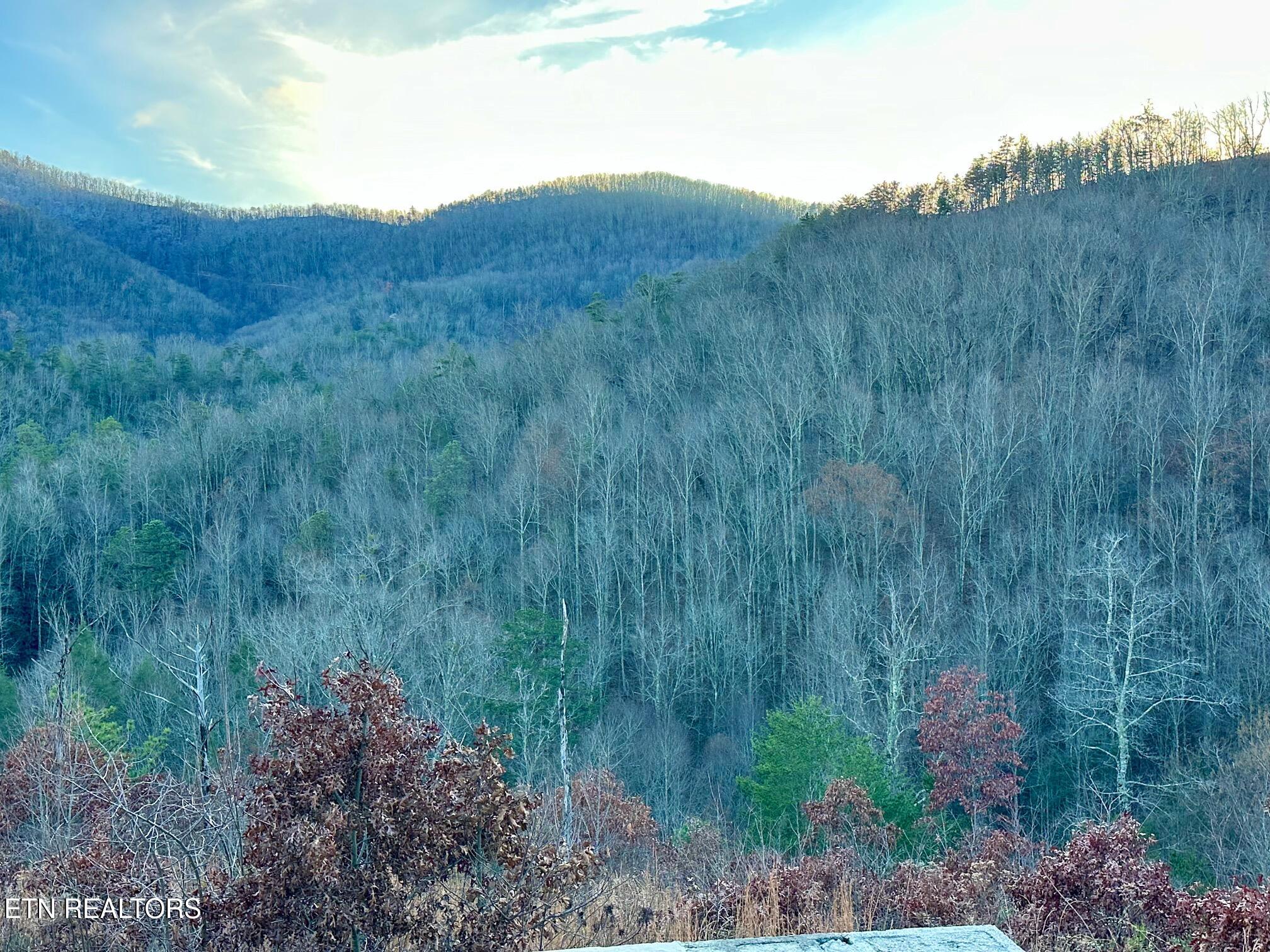 1611 Mountain Dreams Way Pigeon Forge TN 37862