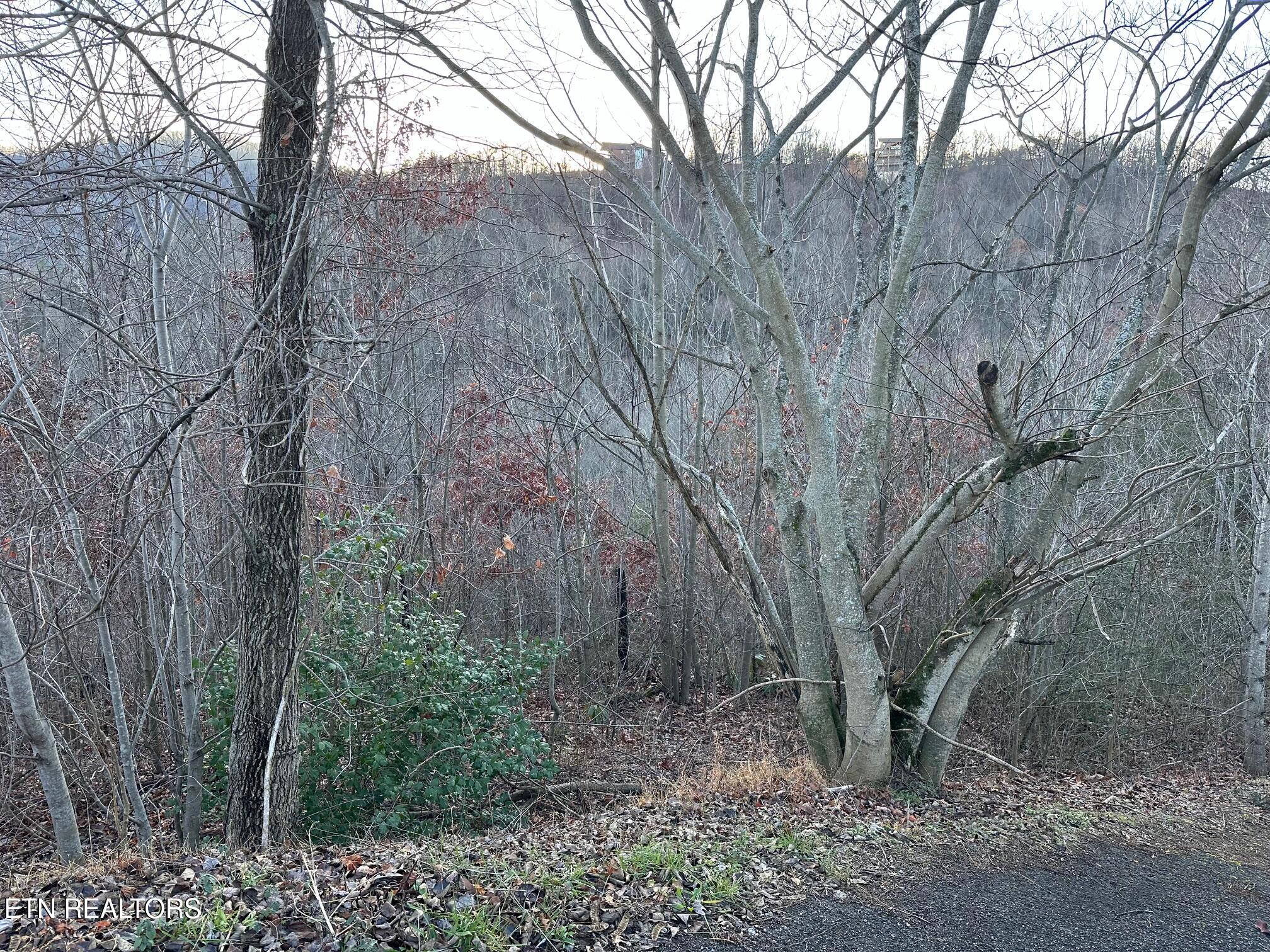 1611 Mountain Dreams Way Pigeon Forge TN 37862